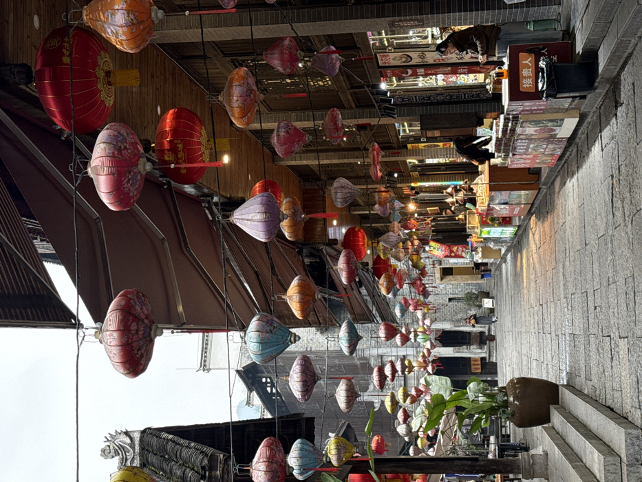 The image displays a narrow, flagstone-paved street or market alleyway in Pengshui Miao and Tujia Autonomous County, China, viewed under an overcast sky. The street is densely adorned with numerous traditional Chinese lanterns of various colors (including red, orange, pink, blue, green, purple, and yellow), shapes (primarily drum and elongated oval), and patterns, strung across overhead to form a decorative canopy. Many lanterns feature tassels, and some are visibly illuminated.
On the left side of the street, traditional multi-story buildings with dark wooden facades and grey tiled roofs are visible. In the foreground on the left, a large green potted plant in a dark brown ceramic pot rests on a raised stone platform. Further down this side, glimpses of outdoor seating areas with tables are present.
The right side of the street is lined with market stalls and shopfronts, set against buildings with dark wooden and stone or brick elements. Awnings extend over several of these stalls. Goods are displayed, and some stalls are brightly lit with artificial light. In the foreground on the right, a person in a brown jacket and light pants stands behind a market stall, looking down at an object on the counter. A black waste bin is positioned next to this stall, which features a Chinese sign partially visible as "接费人". Further into the midground on the right, several indistinct figures are visible near other market stalls.
In the center-midground, a lone individual walks away from the camera, further down the paved street. The street surface consists of large, irregular flagstones.