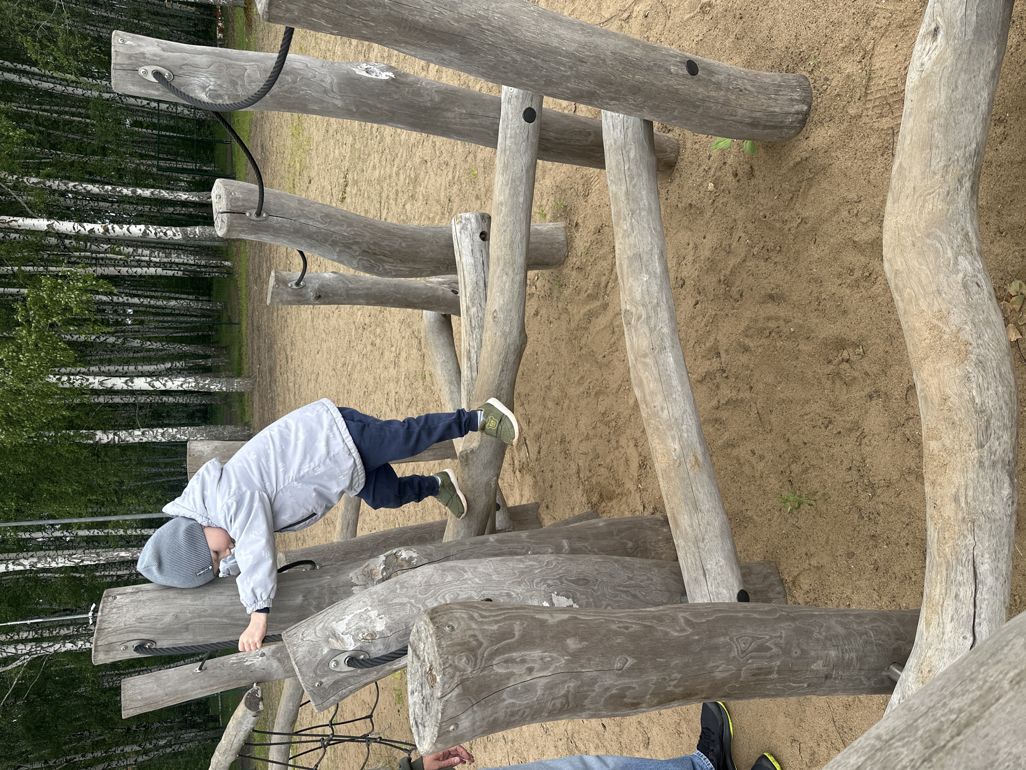 This image depicts an outdoor playground scene in the city of Chaikovsky, Russia. The primary subject is a young child, appearing to be a boy, of Caucasian ethnicity, approximately 3-5 years old, engaged in climbing a wooden obstacle course. He is dressed in a grey striped knit beanie, a light grey hooded jacket with a black zipper, dark blue trousers, and green athletic shoes with white soles. The child is positioned with his right hand gripping a vertical wooden post and his left arm resting on another, while his feet balance on two separate horizontal wooden beams. He is looking down and to his right, focusing on his footing.
In the lower-left quadrant, a partial view of an adult's lower body is visible, including a portion of blue jeans and a black athletic shoe with neon yellow accents. The adult's right hand is also visible, positioned near a vertical wooden post, suggesting supervision or assistance.
The playground structure is constructed from natural, weathered, light grey wooden logs and beams of varying diameters. Several vertical posts are anchored in the sandy ground, connected by horizontal and angled beams secured with metal fasteners. Some vertical posts feature black ropes threaded through metal eyelets. A section of a black rope net is partially visible on the far left.
The ground surface is light brown sand, with sparse patches of small green plant sprouts. The background is dominated by a dense stand of birch trees, characterized by their white bark and green foliage. Behind the birch trees, a section of a green wire fence is visible, followed by more dark green trees in the distant background. The lighting is diffuse, indicative of an overcast day.