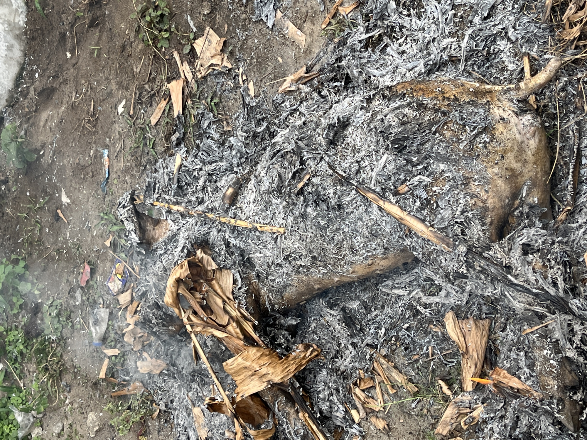 The image shows a fire pit in Badagry, Nigeria. Ash and charred remains cover the ground. Partially burned vegetation is visible, along with unburned trash (plastic bottles, wrappers) on the edge of the pit. The surrounding soil is bare and littered with debris. Green vegetation borders one side of the fire pit. Smoke rises from a section of the ashes.