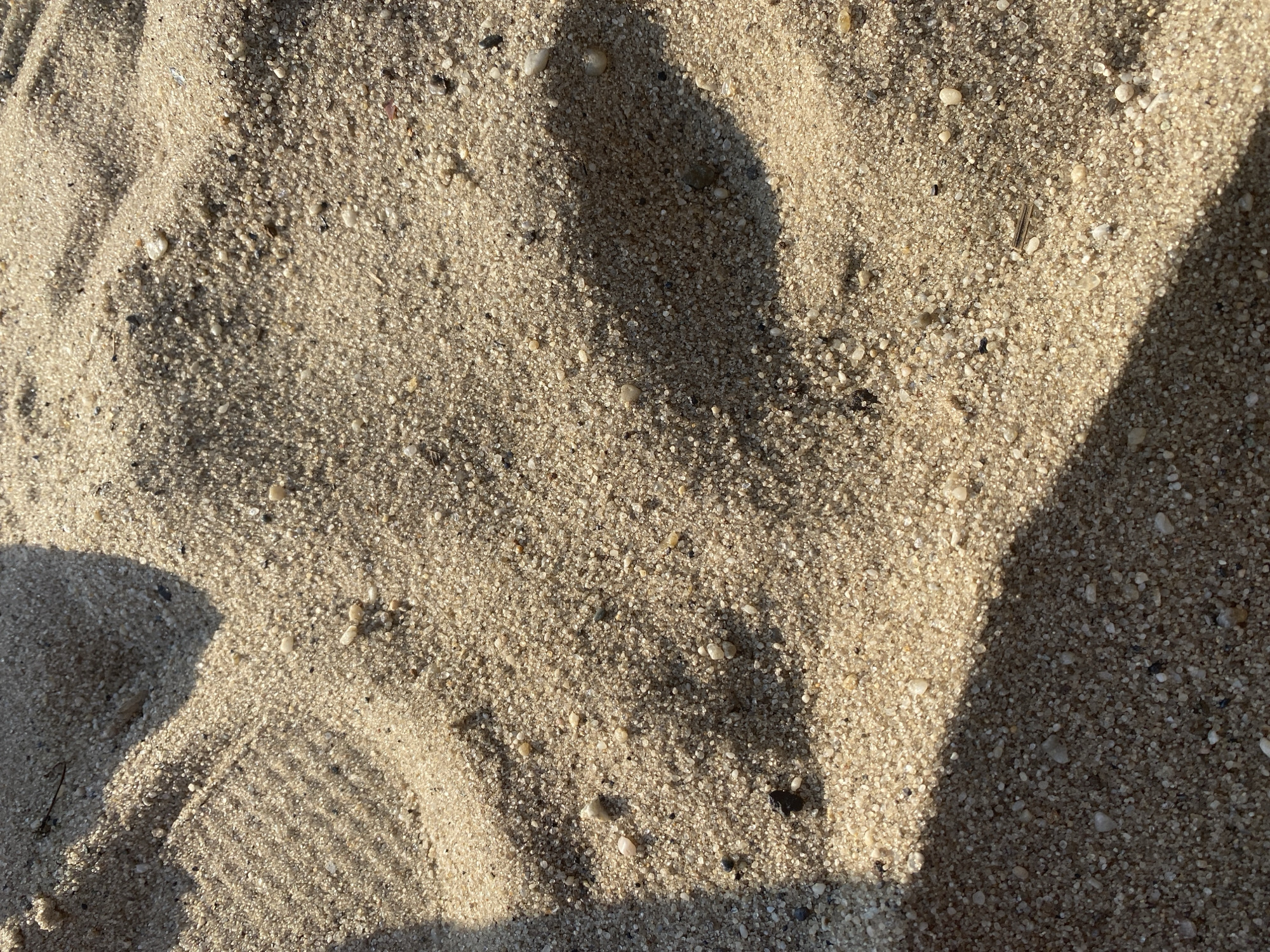 The scene, situated in the city of Tyumen, Russia, depicts a detailed close-up of sandy ground under direct sunlight. The sand exhibits a coarse texture, composed of numerous individual light beige, off-white, and darker mineral grains interspersed with small pebbles. Multiple distinct shadows are cast across the granular surface. In the upper left quadrant, a series of approximately seven parallel striped shadows are visible, suggesting an overhead slatted object. A prominent, irregular, and amorphous dark shadow occupies the center-right and bottom-right portions of the frame, indicating a significant obstruction to the light source. Smaller, indistinct shadows are also present. The scene is static, with no individuals, animals, or discernible actions visible within the sandy environment.