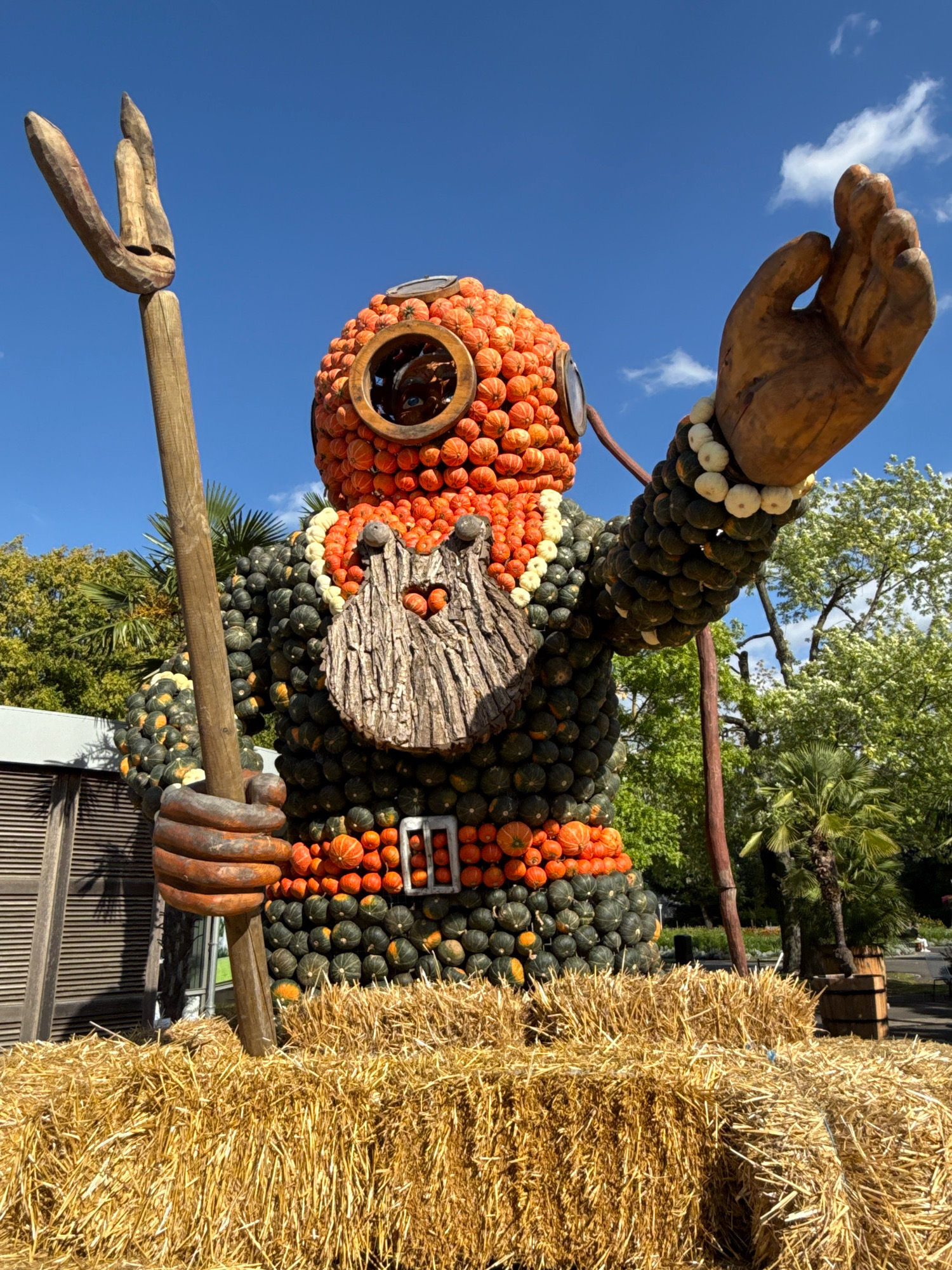 The image depicts a large sculpture of a deep-sea diver, constructed entirely from pumpkins and gourds of various sizes and colors. The sculpture stands outdoors, set against a clear blue sky with scattered white clouds. The diver is in a dynamic pose, holding a wooden trident in its left hand and extending its right hand upwards. The diver's helmet is notably round, with a circular window revealing a pair of blue eyes and a nose made from carved wood. A beard, also made of wood, adorns the lower part of the helmet. The body of the diver is covered in an assortment of green, orange, and white gourds, arranged to form the suit and accessories, including a belt with an orange buckle. The sculpture is positioned on a base of straw bales. In the background, there are trees, some with lush green foliage and others with white blossoms, along with a palm tree. A wooden building with horizontal slats is visible to the left of the sculpture. This pumpkin sculpture is part of the "Lichterwochen" event at the egapark in Erfurt, Germany, specifically at the Jardin des Lumières, a themed garden area.