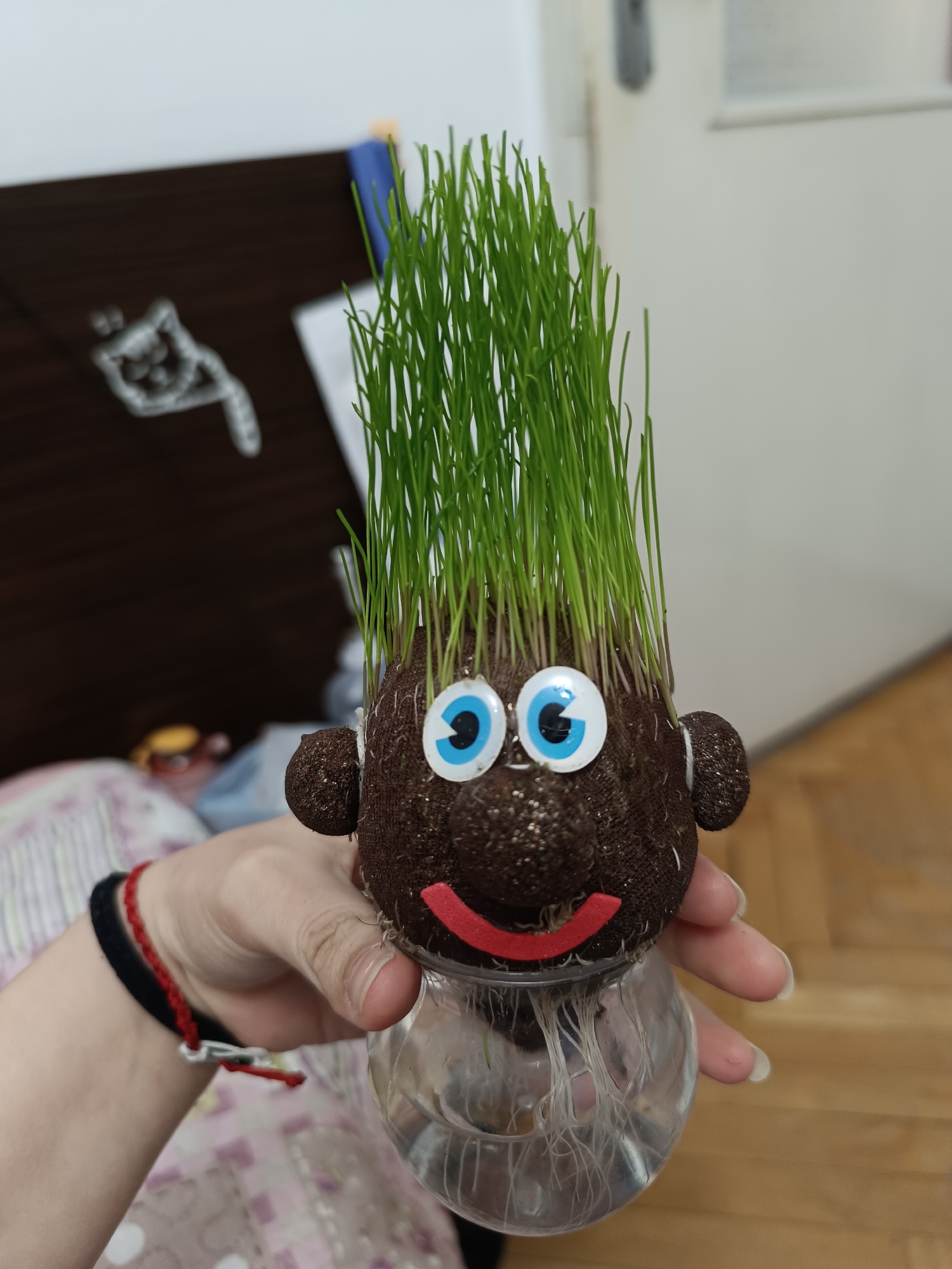 A person is holding a grass head plant. The plant has a brown, round head with googly eyes and a red smile. Green grass grows out of the top of the head, resembling hair. The head is attached to a clear glass container filled with water, in which the plant's roots are visible. The person's hand is holding the glass container. The background includes a blurred room with a wooden cabinet and bedding. The photograph appears to have been taken indoors. The exact location in the city of Pleven, Bulgaria is not discernible from the image.
