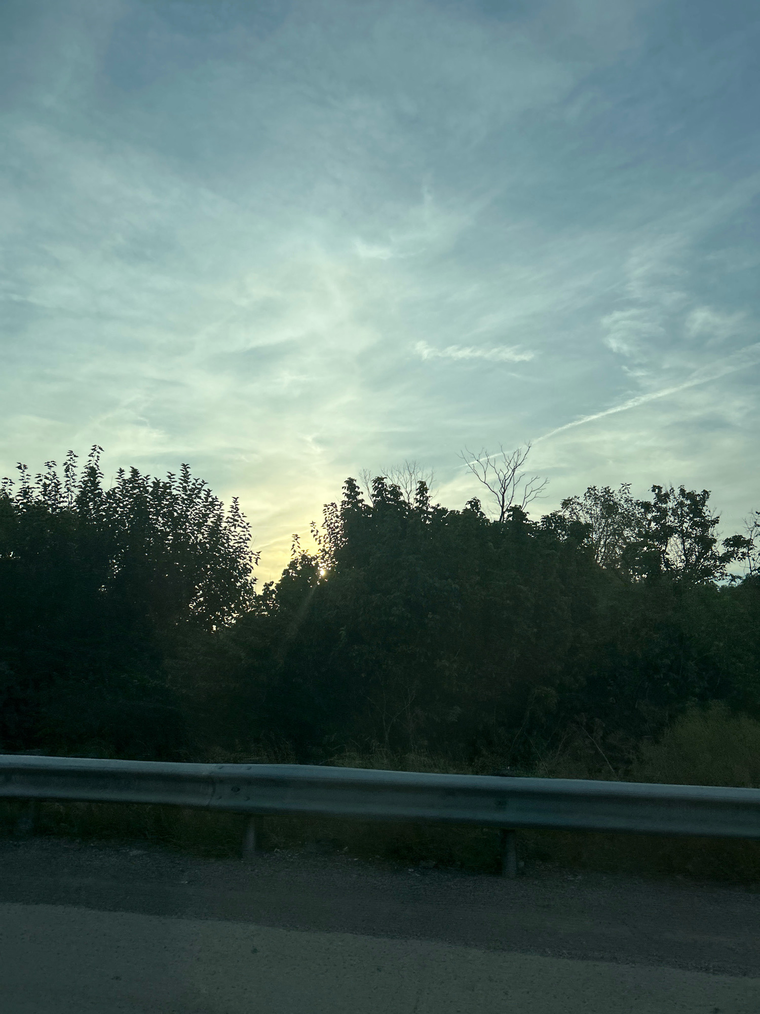 The image shows a view of trees and the sky from the side of a road. A metal guardrail runs horizontally across the lower portion of the frame, separating the road from a wooded embankment. The trees are dark green and silhouetted against a pale sky with wispy clouds. Sunlight is visible peeking through the trees on the right side of the image. The road surface in the foreground is a textured gray asphalt. The scene appears to be outdoors, possibly in a rural or suburban area. The sky has a faint yellowish glow, suggesting either sunrise or sunset. No people or vehicles are visible in the image. The specific location in Collier Township, United States of America, is not discernible from the visual information provided.