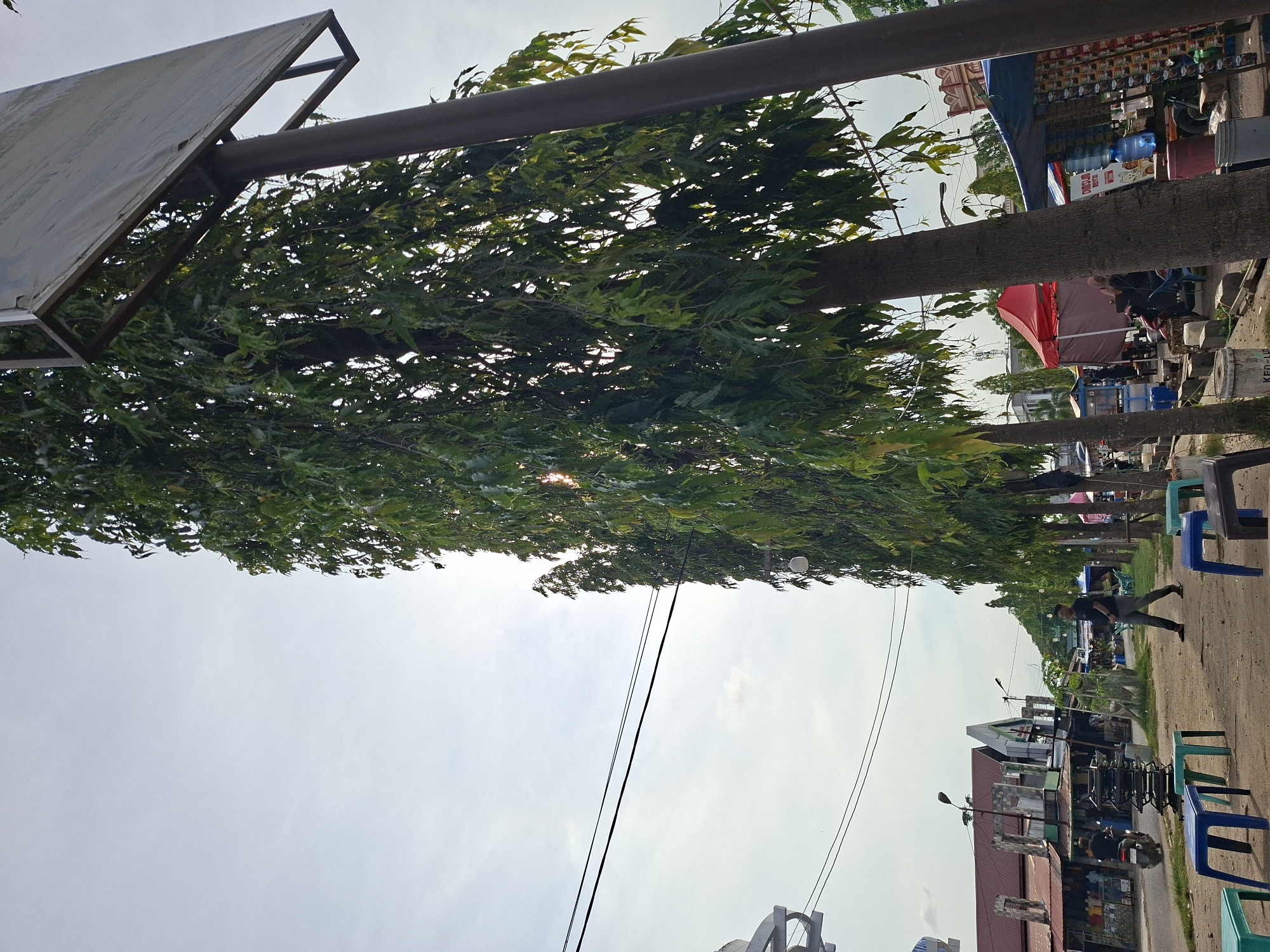 This outdoor image, taken in Lhokseumawe, Indonesia, captures a street scene during the daytime under a bright, partly cloudy sky. The perspective is oriented along a tree-lined path.
On the left, a large metal structure, possibly part of a billboard or overhead sign, extends over a dense canopy of lush green trees. Sunlight occasionally pierces through the foliage, creating bright lens flares. Several power lines or cables stretch horizontally across the upper portion of the sky.
Towards the right side of the frame, a dirt or unpaved path is visible, lined with multiple blue and green plastic chairs, suggesting a casual seating area or roadside eatery. A person can be seen walking on this path. Further in the background, a cluster of street vendor stalls and small shops dots the landscape. One stall clearly displays various bottled drinks and a large blue water dispenser bottle. Visible text on a sign at this stall reads "AIR MINUM ISI ULANG" (Drinking Water Refill). A container on the ground nearby is marked "KENT".
Behind the market activity, several buildings with diverse architectural styles are visible, including one with a reddish-brown roof and another with a more pointed, distinctive design. A red umbrella is also present, likely providing shade for another vendor. The scene depicts a typical, busy roadside environment.