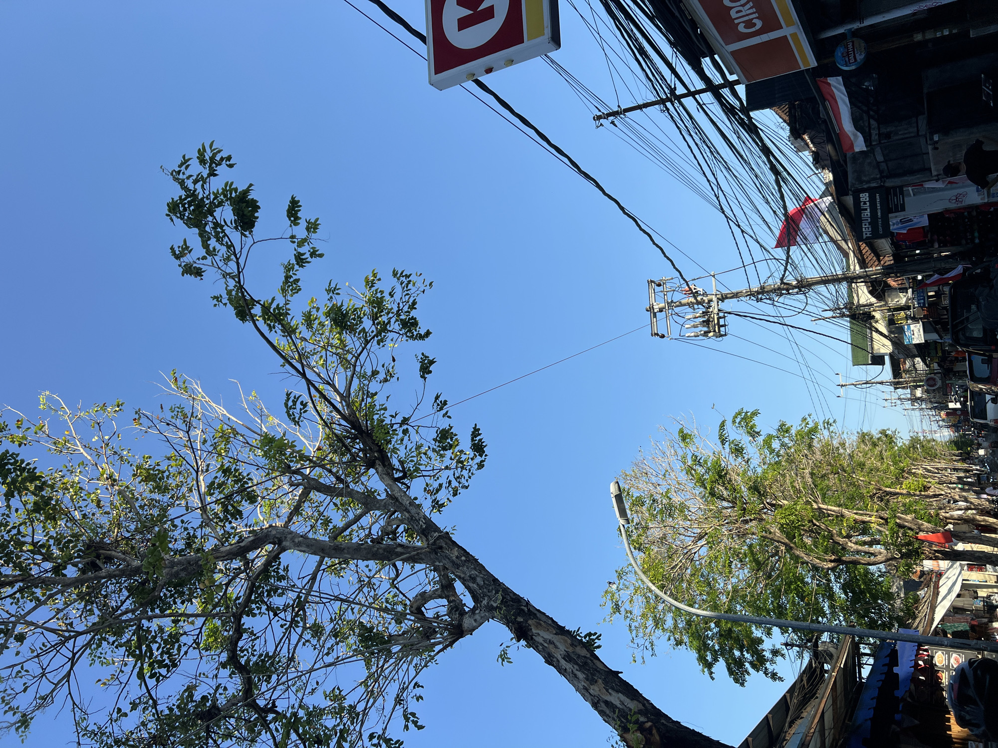 The image depicts a street scene in Kuta, Indonesia, on a clear day. A large tree with green leaves dominates the left side of the frame, its branches extending upwards against a bright blue sky. In the foreground, to the right, a sign with a red border and a white "K" is visible, likely belonging to a convenience store. The street is lined with buildings and shops, some with awnings and signage. A dense network of electrical wires and utility poles crisscrosses the upper portion of the scene, indicating urban infrastructure. The road itself is visible, with a few vehicles and indistinct figures of people in the distance. Indonesian flags are displayed on some of the buildings. The overall impression is a busy street in a tropical urban environment.