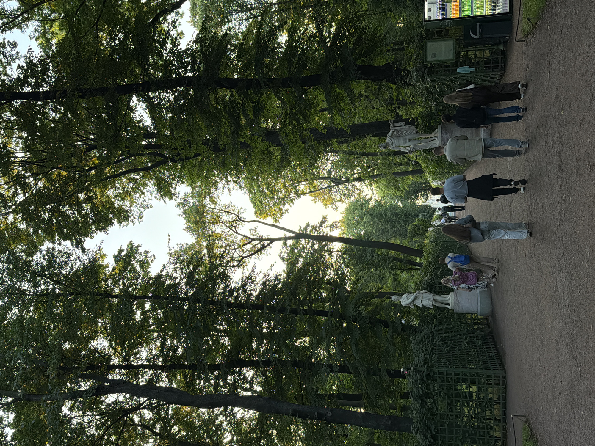The image depicts a pathway lined with tall, mature trees in a park-like setting. Several people are walking along the path, some in small groups and others individually, moving away from the viewer. On the left side of the path, there is a decorative green fence and a classical statue of a standing figure. Further down the path on the right, another classical statue of a standing male figure is visible. A vending machine stocked with colorful beverages is situated near the right edge of the frame. The overall scene suggests a public park or garden, possibly in the city of Saint Petersburg, Russia, given the presence of classical statues and manicured greenery, indicative of historical garden design. The lighting suggests it is late afternoon or early evening.