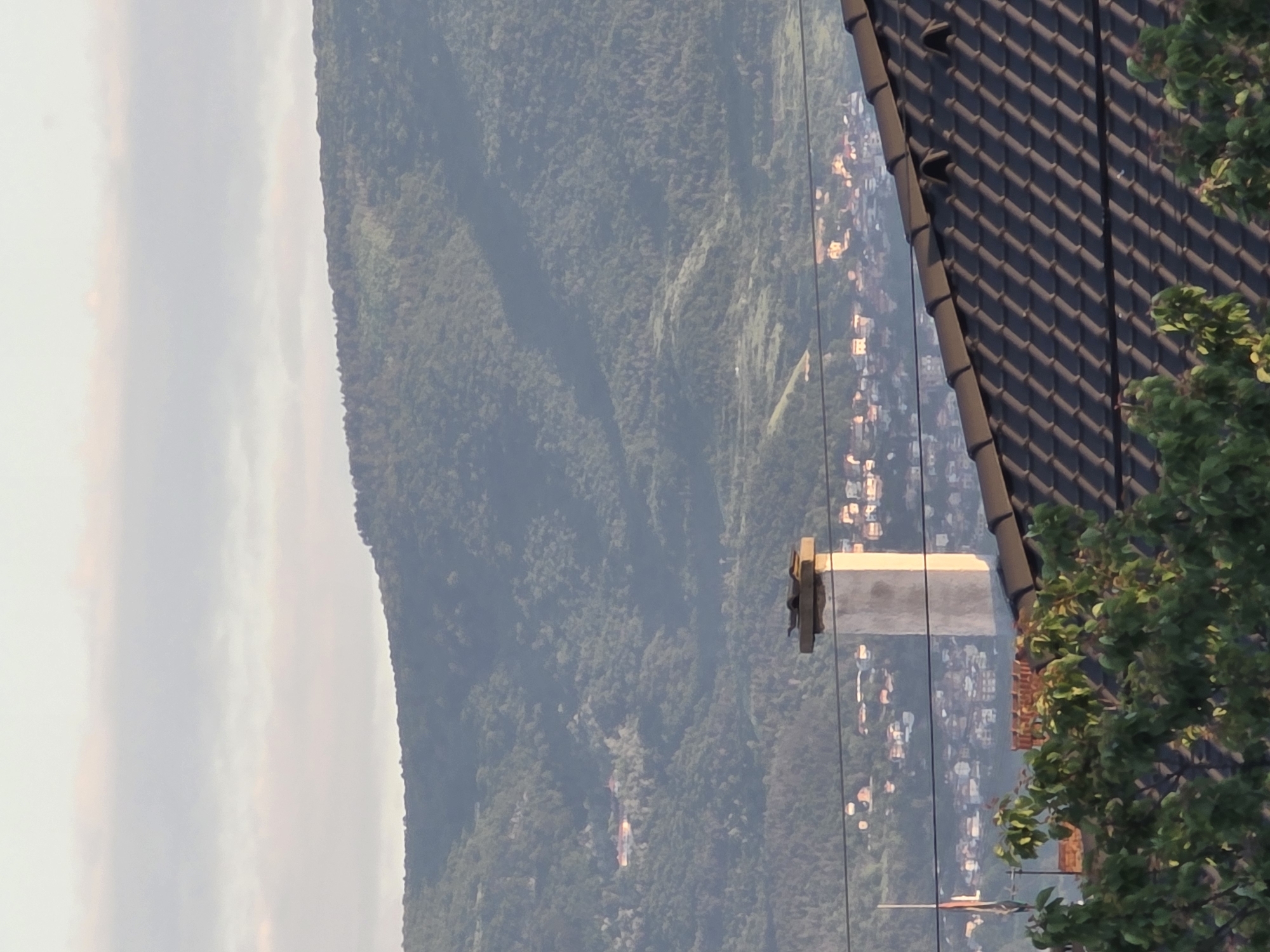 The image presents a mountainous landscape adjacent to what appears to be a populated area. In the foreground, a section of a dark tiled roof is visible, partially obscured by green foliage. Adjacent to the roof is a light-colored structure, possibly a chimney or a similar architectural element. Power lines stretch across the view, connecting to the structure and the populated area beyond. The houses are closely clustered together, suggesting a relatively dense urban environment. The background consists of a densely wooded mountain range. The sky is overcast, creating a somewhat hazy or muted lighting effect throughout the scene. Given the location as Yagodovo, Bulgaria, the image likely captures a view of the surrounding Rhodope Mountains and the urban sprawl of the town.