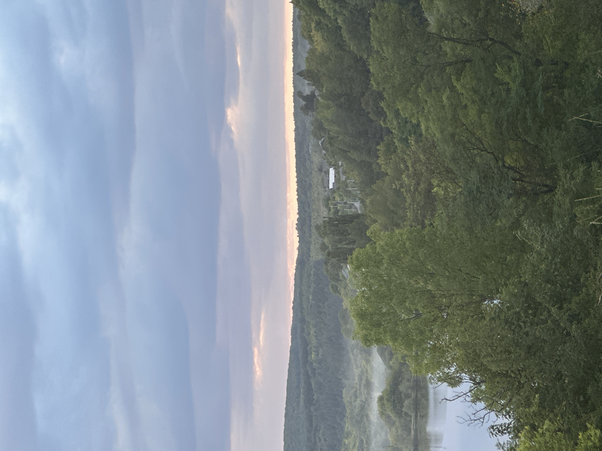 A hazy, overcast sky with hints of pink light from the setting sun looms over a lush, green landscape. Rolling hills covered in dense forest stretch across the mid-ground and background. A body of water, likely a river or lake, is visible on the left side of the image, with a thin layer of mist rising from its surface. Scattered amongst the trees in the distance are a few small buildings, suggesting a rural settlement. The foreground is dominated by the canopy of trees, with a large, leafy tree on the right side of the frame. The scene appears to be a natural landscape outside of Makiv, Ukraine, possibly during dawn or dusk. There are no people or animals visible in the image.