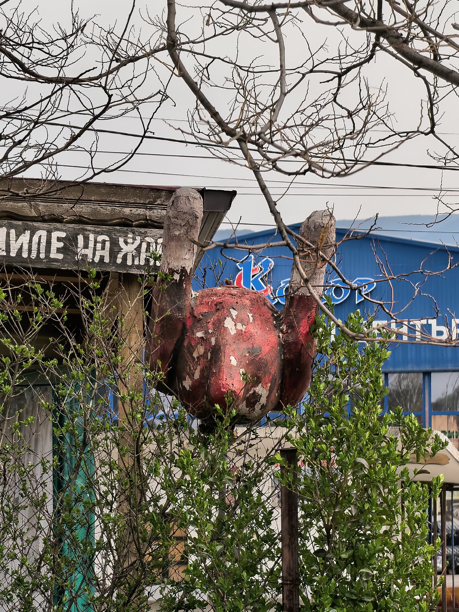 Here is a description of the image:
The image shows a weathered, red and gray object that resembles a large cherry or berry, mounted on what appears to be a pole or support, partially obscured by greenery. The object is positioned in front of a building with Russian text on its sign and a larger, blue structure with prominent lettering in the background. Overhanging tree branches devoid of leaves frame the upper portion of the scene. The location appears to be an outdoor setting in a city.