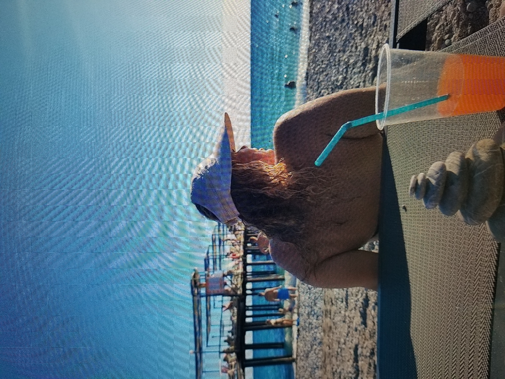 The image depicts a scene at a beach with a pier in the background. In the foreground, a person wearing a wide-brimmed hat is sitting, facing away from the camera, towards the ocean. A clear plastic cup with an orange beverage and a blue straw is positioned to the right of the person. To the left of the cup, a stack of smooth, grey stones is visible. The beach is composed of pebbles. The ocean stretches out to the horizon under a clear blue sky. The pier is populated with several figures, and people are also in the water. The overall setting is that of a sunny day at the seaside, with the pier suggesting a populated tourist area. There is no indication of the city of Tiraspol, Moldova, in the image or its description.