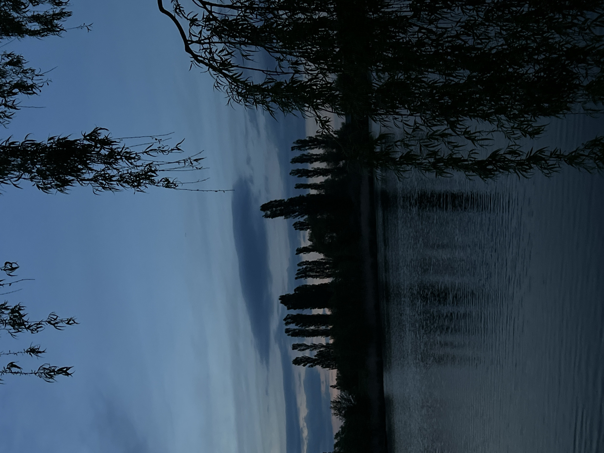 The image depicts a dark, tranquil scene at dusk, likely near a body of water in Romanove Selo, Ukraine. Silhouetted trees line the horizon across the water's edge, with their reflections faintly visible in the water. Overhanging branches from trees frame the upper edges of the image. The sky is a gradient of blues and grays, indicating twilight. There are no people visible in the image.