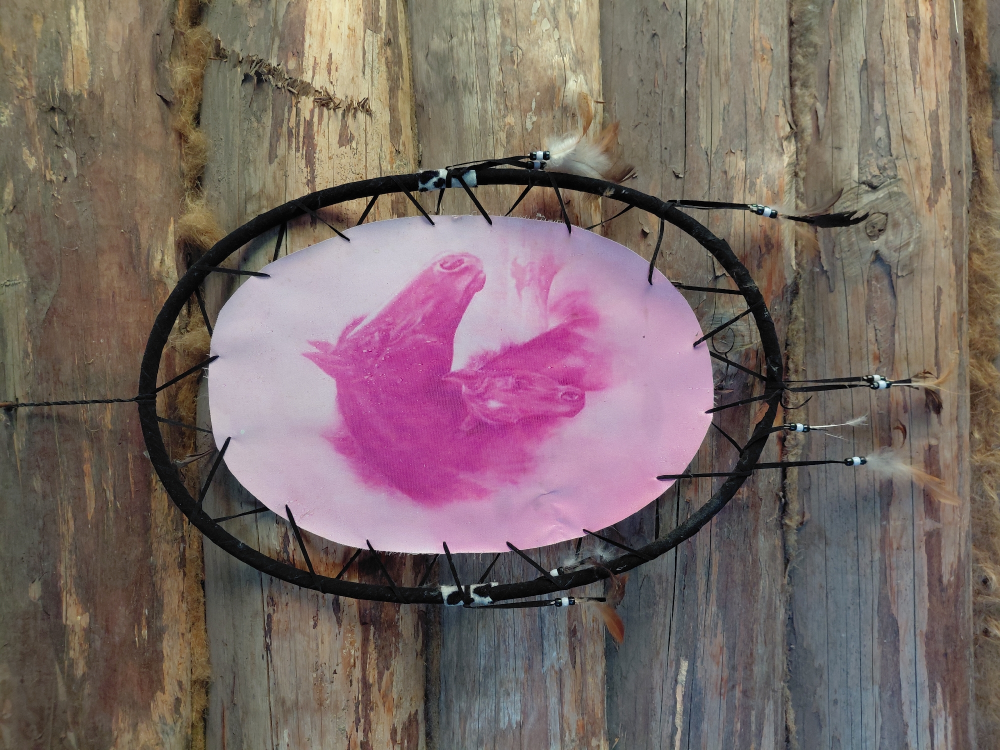 A dreamcatcher with a pink image of a horse and foal is hanging on a rustic wooden wall. The dreamcatcher has a black hoop and is decorated with feathers and beads. The wooden wall is made of rough-hewn logs. The image is a close-up shot, taken from a straight-on perspective. The lighting is natural and appears to be overcast. There is no indication of the specific location within the city of Novosibirsk, Russia.