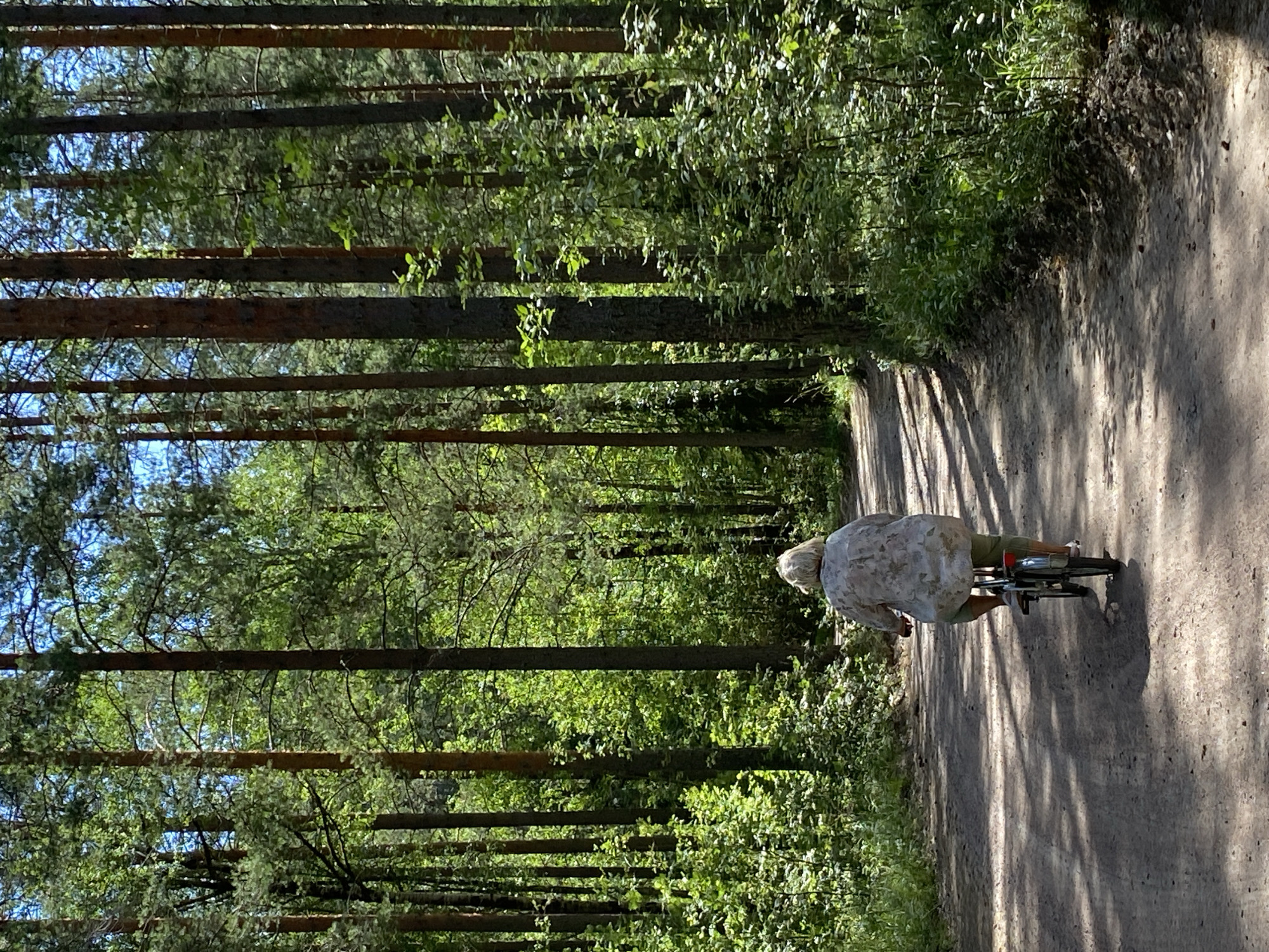 A person rides a bicycle on a dirt path through a dense pine forest. The cyclist is seen from behind, wearing a light-colored, patterned blouse and green pants. The path is dappled with sunlight filtering through the tall trees, casting shadows on the ground. The surrounding forest is lush and green, with dense undergrowth and tall pine trees forming a canopy overhead. The scene appears to be in Leipyasuo, Russia, known for its extensive pine forests. The overall atmosphere is one of peaceful recreation in a natural setting.