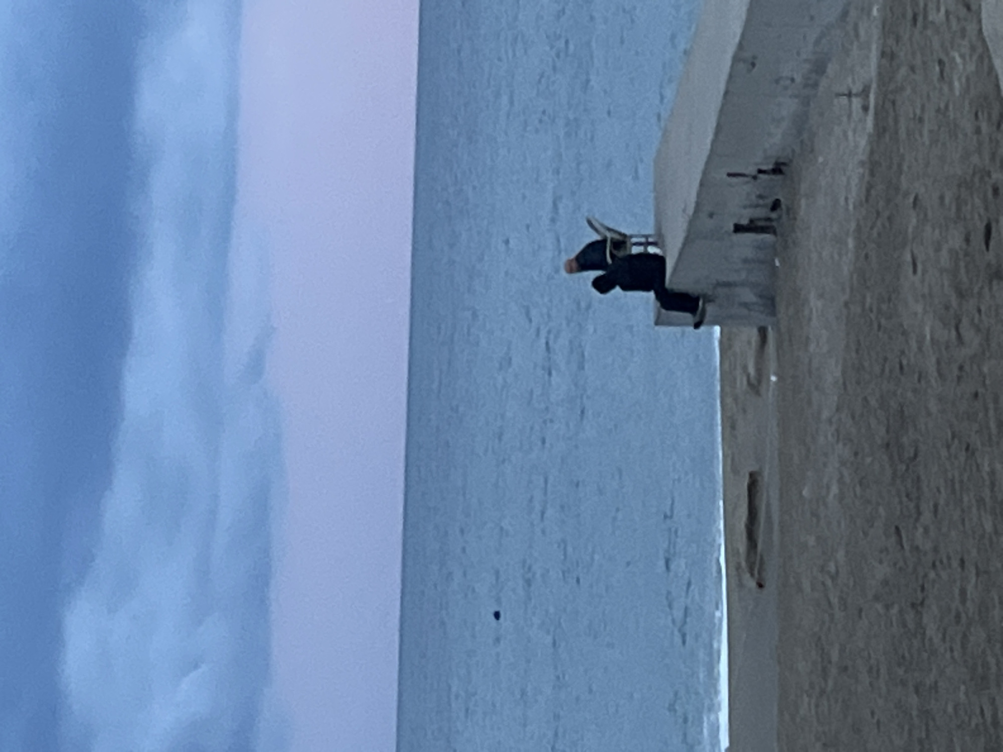 The image, taken in Alanya, Turkey, shows a man on a concrete structure overlooking the sea. The structure appears to be part of a building or pier, with exposed metal bars and a rough concrete surface. The man is dressed in dark clothing and is sitting on the edge of the structure, with his legs dangling over the water. The sea is calm and stretches out to the horizon, with a cloudy sky above. A dark object is floating in the water.