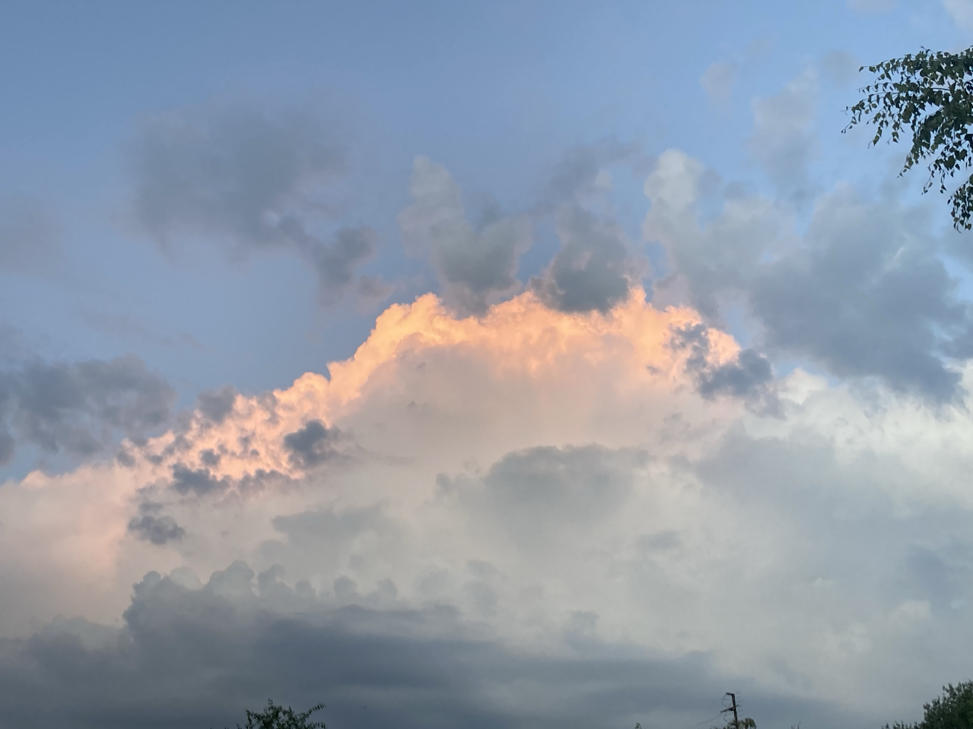 This image captures a dramatic sky scene at dusk, likely in or around Rakity, Russia. The primary subjects are the clouds, which are illuminated by the setting sun, casting a warm, peachy glow on their edges. These glowing clouds are juxtaposed against darker, more ominous storm clouds and a serene blue sky in the background.
The scene suggests a transition in weather, with the possibility of a storm brewing or just passing. The light filtering through the clouds indicates it is late evening, as the sun is low on the horizon. The presence of tree branches, particularly on the right side of the frame, and a silhouette of what appears to be a utility pole at the bottom hint at a rural or semi-rural landscape.
The overall mood conveyed by the image is one of natural beauty and awe, with a touch of drama from the contrasting light and shadow in the sky. There is no visible text in the image.