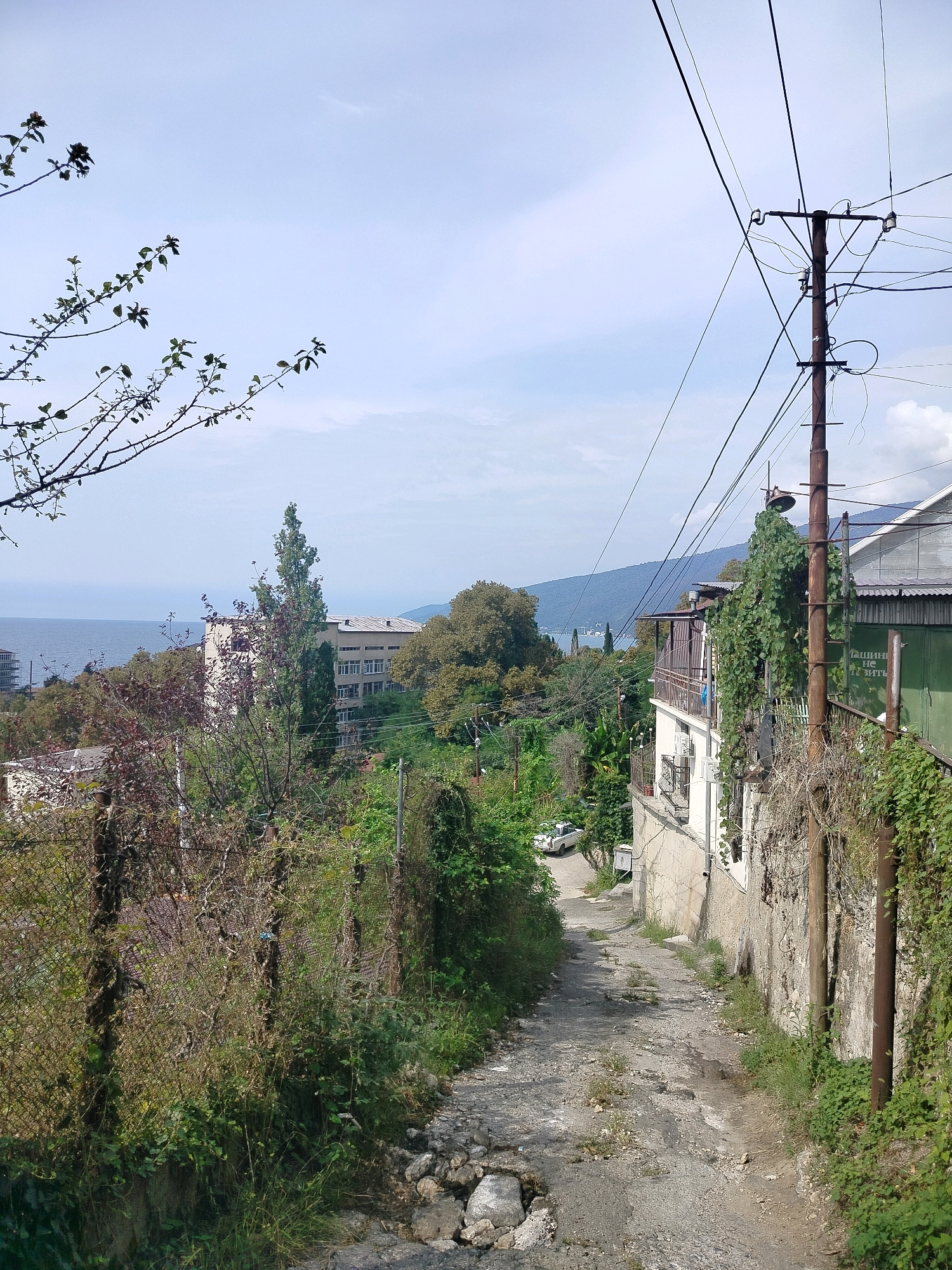 The image depicts a steep, narrow, unpaved street in Gagra, Abkhazia, descending towards the sea. The street is flanked by a rough stone wall on the right, overgrown with ivy and other vegetation, and a chain-link fence on the left, also heavily covered in plants. Several utility poles with a dense network of wires are prominent along the right side of the street.
Buildings are visible on both sides of the street and in the background. On the right, a white multi-story building with a balcony is partially obscured by greenery. On the left, a lower building with a green metal facade is present. Further in the distance, a larger, light-colored multi-story building with many windows stands among trees, with the blue sea and a hazy coastline visible beyond it. A white car is parked on the street in the mid-ground. The sky is partly cloudy and a light blue. The overall impression is of a somewhat weathered, overgrown urban landscape in a coastal region.