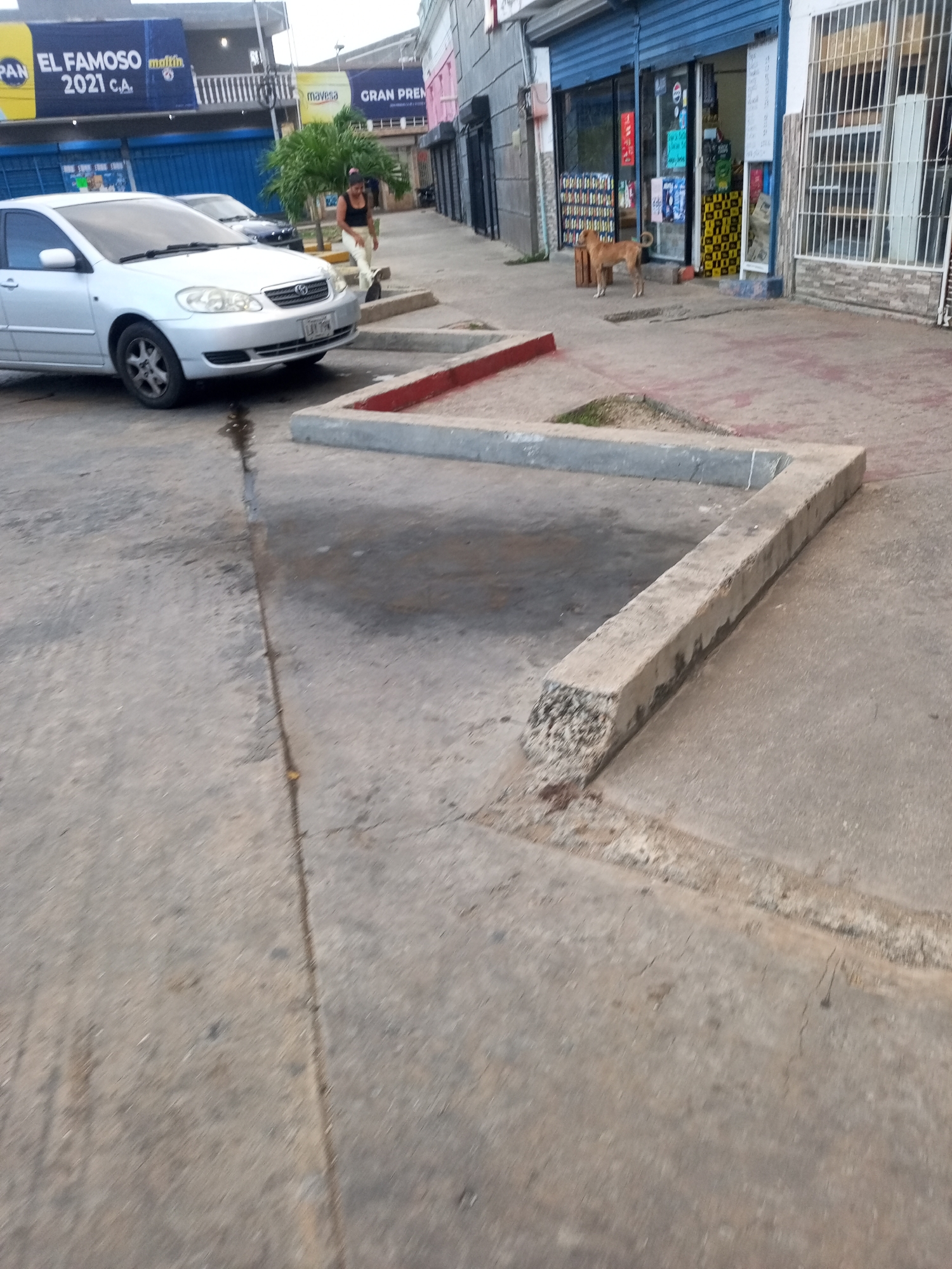 In Juan Griego, Venezuela, a light-colored sedan is parked on a concrete surface in front of a row of storefronts. The car is facing left, with its front bumper and driver's side visible. A woman wearing a white top and pants walks away from the car. To the right of the car and further down the sidewalk, a brown dog stands near the entrance of a store. The store has a blue facade and metal bars on its windows. A concrete planter box with a red border is in the foreground, extending into the frame from the lower left corner. The environment appears to be an urban street or parking area with a sidewalk.