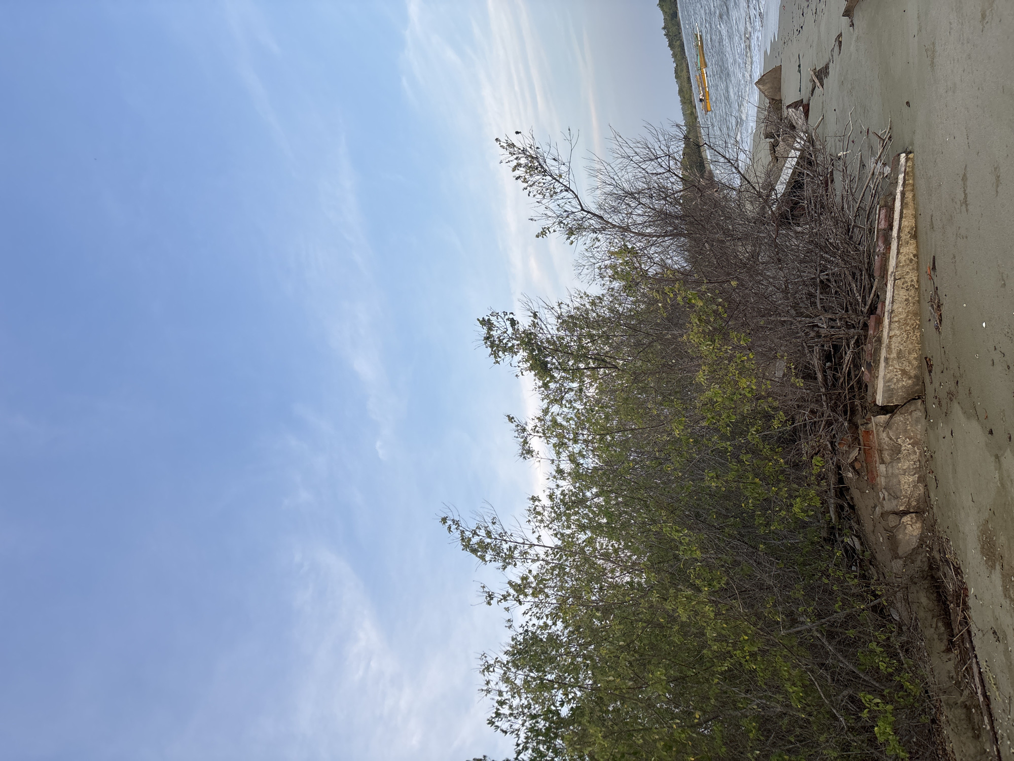 A serene, wide-angle shot captures a coastal scene on a cloudy day, likely in Torosiaje Jaya, Indonesia. The foreground is dominated by dense, overgrown bushes with a mix of green leaves and bare branches, interspersed with broken concrete and brick debris, suggesting remnants of a structure washed ashore. To the right, a sandy beach stretches towards the ocean, where gentle waves create ripples on the surface. In the distance, a yellow boat is visible, adding a touch of color to the tranquil seascape. The sky above is a pale blue, adorned with wispy white clouds that hint at the presence of a soft breeze. The overall atmosphere is one of natural beauty, with a touch of rustic decay due to the debris.