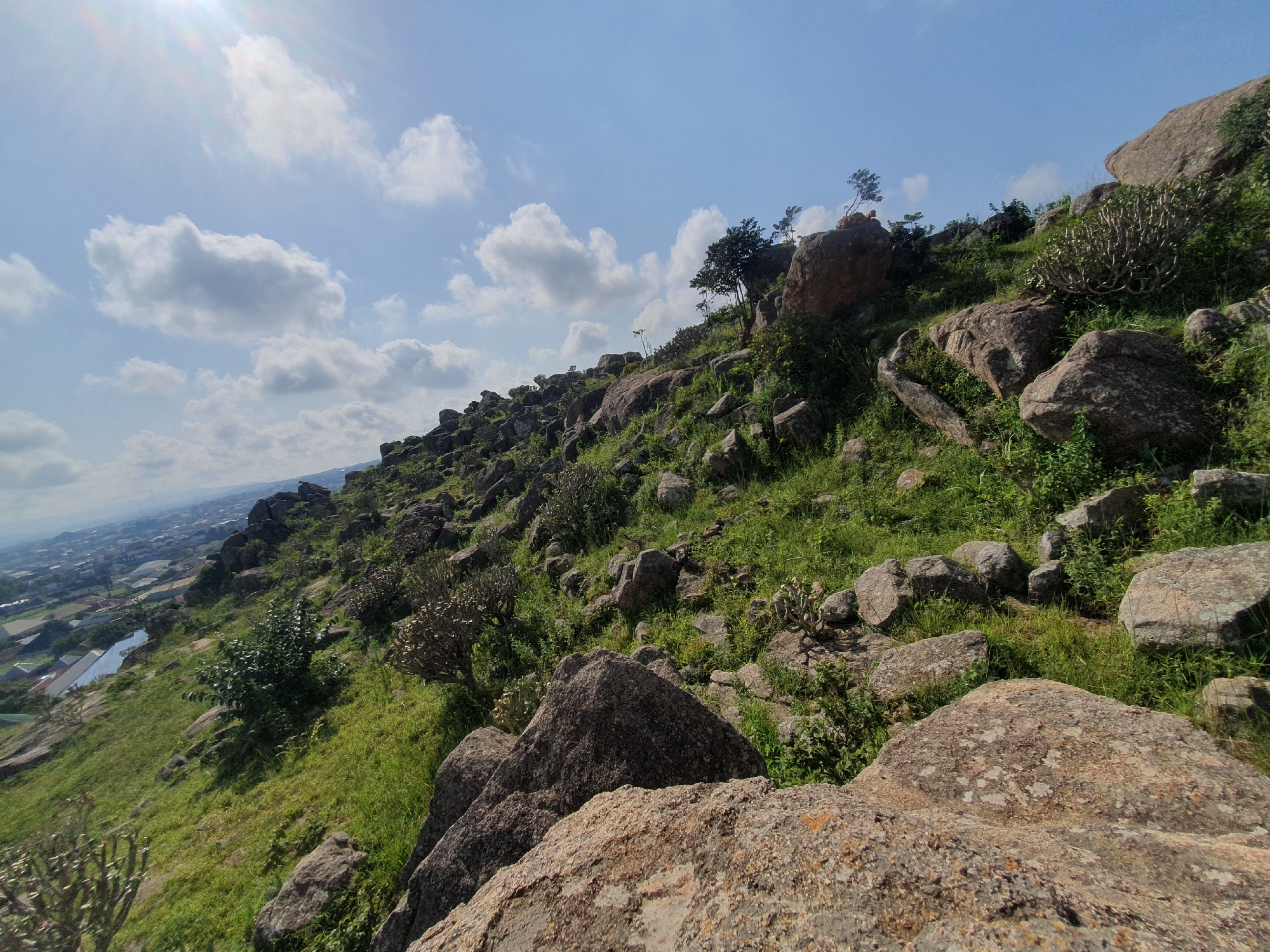 The image captures a rocky, grassy hillside in Gura Top, Nigeria. The terrain is characterized by numerous large, weathered boulders scattered across the landscape, interspersed with patches of green grass and low-lying shrubs. Some sparse trees grow on the higher slopes, their branches reaching towards a bright blue sky dotted with white, fluffy clouds. The sun shines brightly from the upper left corner, casting a lens flare across the scene. In the distance, a city can be seen nestled at the foot of the hills, with buildings and a body of water visible. The overall impression is one of a natural, rugged environment on the outskirts of an urban area. There are no people or animals present in the image.