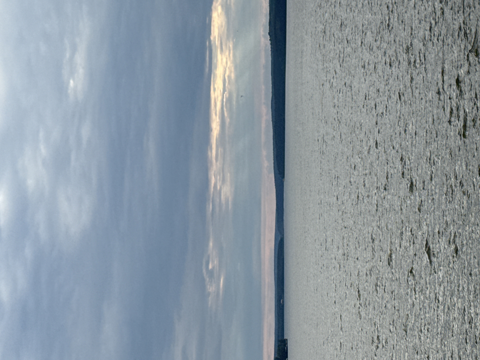 The image shows a wide expanse of water under a cloudy sky. The water is rippled, suggesting a light breeze. In the distance, a dark treeline forms the horizon. A faint glow is visible between the clouds, indicating sunlight breaking through. The scene is serene and natural. This image is likely of the Votkinsk Reservoir, located in Votkinsk, Russia.