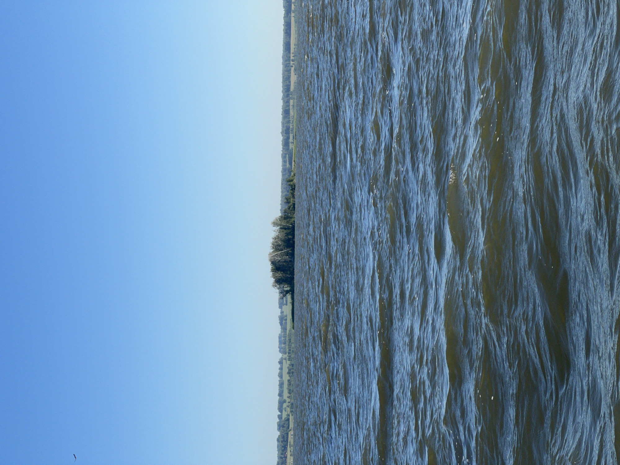 A wide shot captures a calm, blue sky above a body of water. In the distance, a lush green landscape is visible, dotted with trees. The water in the foreground is dark and reflects the sky, with gentle waves creating ripples across its surface. A small island densely populated with trees sits in the middle ground. The scene is serene and natural, suggesting an outdoor recreational area. This image was taken in Novopichugovo, Russia.