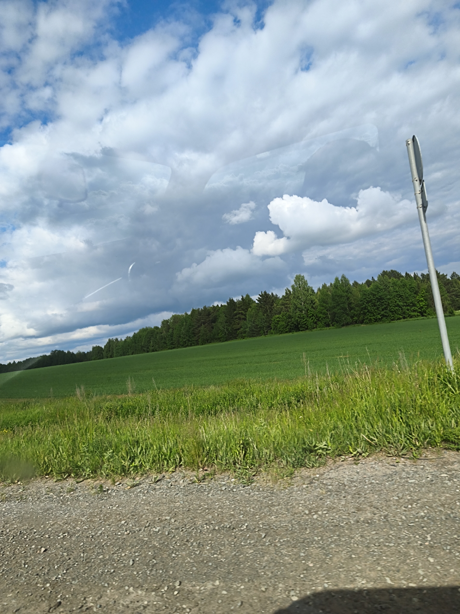 A daytime landscape shot captures a rural scene, likely from a moving vehicle given the reflections on a window. The upper two-thirds of the image are dominated by a dynamic sky, featuring a mix of bright white cumulus clouds and darker grey, heavier clouds, interspersed with patches of clear blue sky. A faint, curved, white contrail from an aircraft is visible in the middle-left sky. Several translucent reflections are overlaid on the sky and clouds, including an elongated, somewhat rectangular shape in the upper right, and a bright crescent shape in the upper left, suggesting glare or internal reflections from glass.
The midground features a vast, vibrant green field that stretches across the image, bordered by a dense line of lush green trees forming a forest in the background. The trees display various shades of green, indicative of both deciduous and coniferous species. In the foreground, a rough gravel or dirt road occupies the bottom portion of the frame, with tall green grass and weeds growing along its edge, separating it from the field. On the far right, a slender, grey signpost with the back of a circular or square sign attached is partially visible. A dark, indistinct shadow is cast on the gravel road in the bottom-right corner. There is no visible text. The scene conveys a sense of open, natural beauty characteristic of the Yakshur, Russia region.