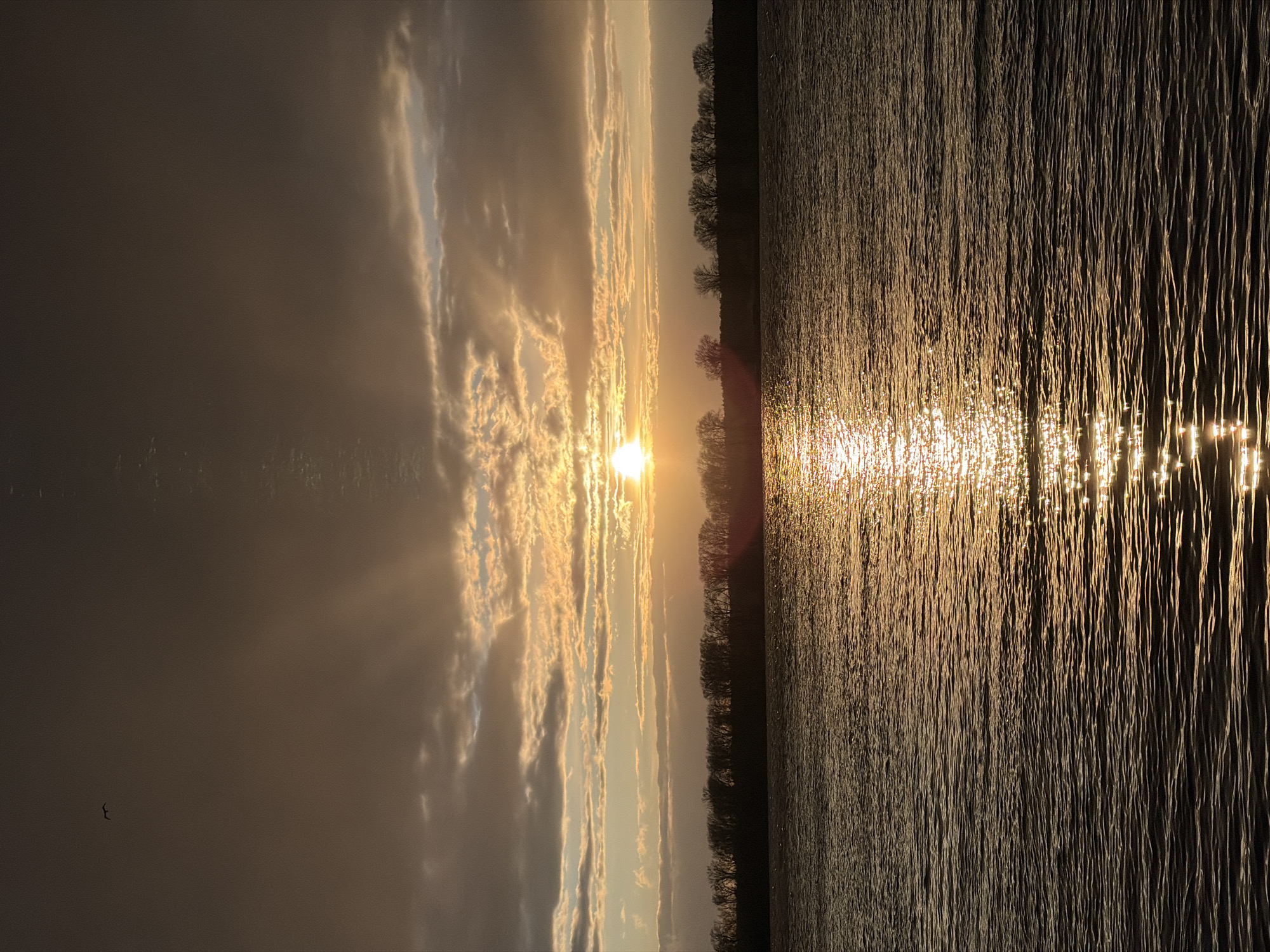 This image captures a breathtaking sunset over a wide body of water, likely the Kama River near Chaikovsky, Russia. The sun, a radiant orb, is positioned low on the horizon, casting a brilliant golden glow across the entire scene. Its intense light pierces through scattered clouds, creating visible sunrays that fan out across the sky.
The sky is adorned with elongated, streaky clouds that catch the warm light, appearing in hues of orange, yellow, and soft gray. The left side of the frame features a vast expanse of sky, with a small bird in flight visible in the bottom-left corner.
The surface of the water, which occupies the right half of the image, is covered in countless ripples and small waves. These textures are dramatically illuminated by the setting sun, creating a dazzling path of sparkling reflections that extend from the horizon towards the viewer.
Along the distant horizon, a dark, silhouetted treeline is visible, comprising what appear to be bare deciduous trees, suggesting late autumn or winter. The overall atmosphere is one of serene beauty and tranquility, emphasizing the stunning visual effects of a sunset over water. There is no visible text in the media.