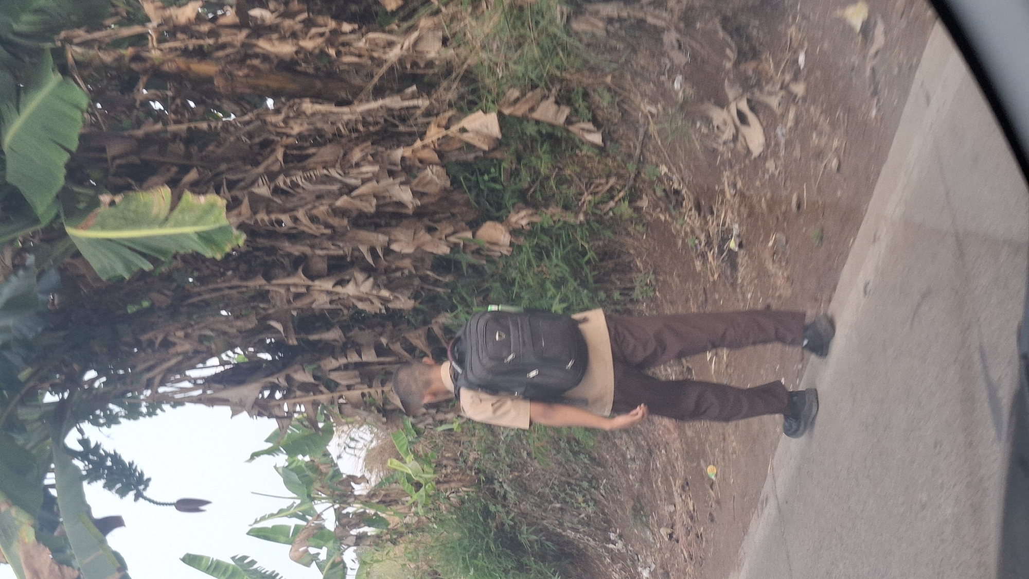 A young person wearing a light brown shirt and brown pants, with a black backpack, walks away from the camera on a dirt path next to a road. They are in front of a dense growth of banana trees with large green leaves and many dried brown leaves. The ground is covered with dirt, dry leaves, and some scattered debris. The sky is overcast. This scene appears to be in a rural or semi-rural area.