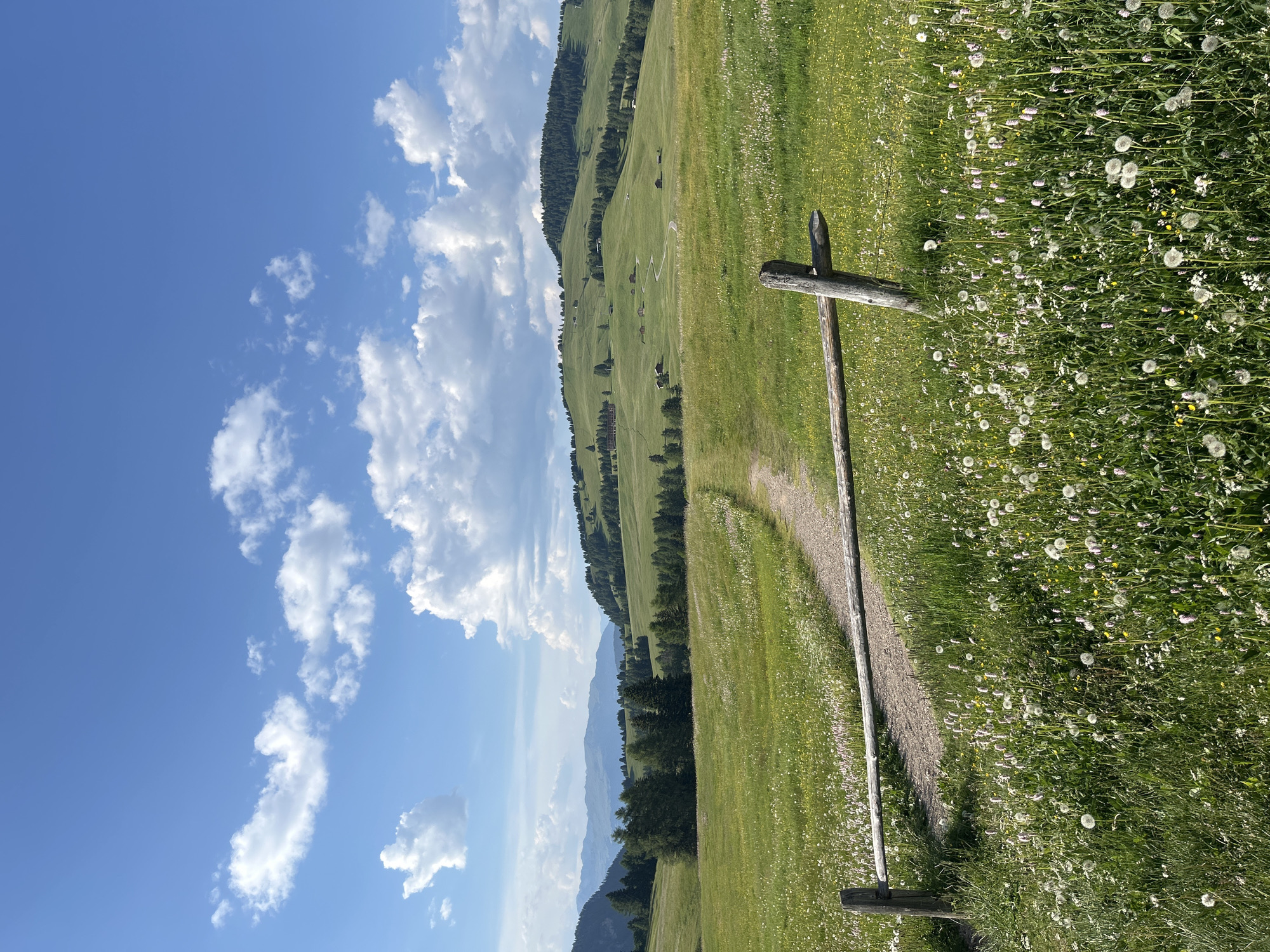This is a vertical, eye-level, outdoor photograph of a lush green meadow dotted with white flowers, likely dandelions in their seed stage. The meadow slopes gently downhill towards the left of the frame. A rustic wooden fence post, made of weathered logs, stands prominently in the foreground on the right side, with one post angled diagonally and another upright. A dirt path curves away from the fence post and into the meadow.
In the middle ground, the meadow continues to slope, with more scattered wildflowers and patches of trees. Further in the distance, a range of green hills is visible, covered in a mix of trees and grassy slopes. Small, scattered buildings or huts are nestled into the hillsides, suggesting a rural or alpine setting. Beyond these hills, the hazy outlines of more distant mountains can be seen.
The sky above is a bright, clear blue with a few fluffy white clouds scattered across it, particularly on the left side of the frame. The lighting suggests it is daytime, likely mid-morning or early afternoon, with the sun casting soft shadows. The overall atmosphere is peaceful and serene, conveying a sense of natural beauty and tranquility. There is no visible text in the image.