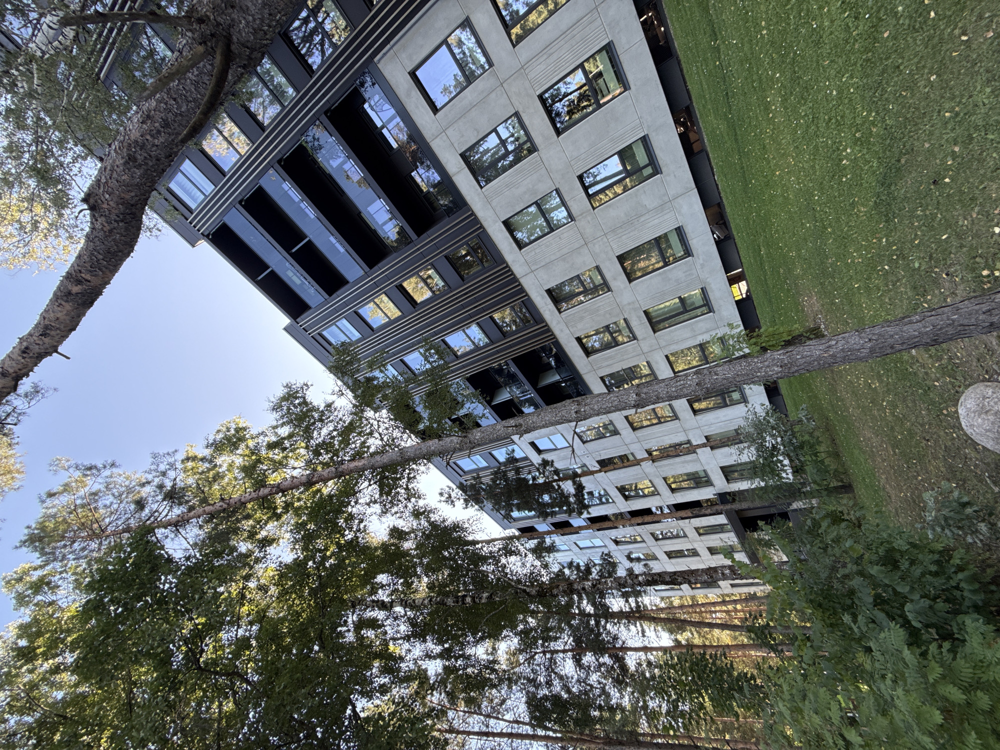 The image depicts a modern apartment building with a concrete and dark-paneled facade, surrounded by a forest. Tall, slender pine and birch trees frame the building, with their branches and leaves partially obscuring the structure and the sky. The building has multiple floors with numerous windows and balconies, reflecting the surrounding greenery and sky. The ground slopes downwards from the building and is covered in a green lawn with scattered fallen leaves. In the foreground, a large grey rock is visible among some bushes. The scene suggests a contemporary residential complex integrated into a natural, wooded environment within the city of Tallinn, Estonia.