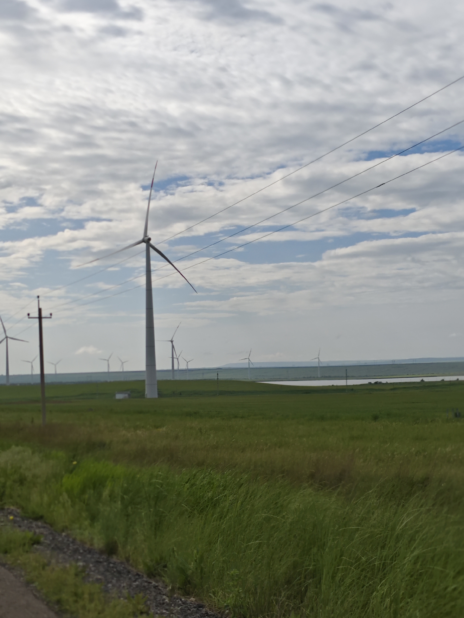 The image depicts a rural landscape under a partly cloudy sky. In the foreground, there is tall green grass and foliage alongside what appears to be a paved road or shoulder. In the middle ground, a large field of green extends to the horizon. Several wind turbines are visible in the field, ranging from close proximity to distant silhouettes. Power lines traverse the upper portion of the image. A body of water is partially visible near the horizon line behind the turbines. The specific location is unidentified.
