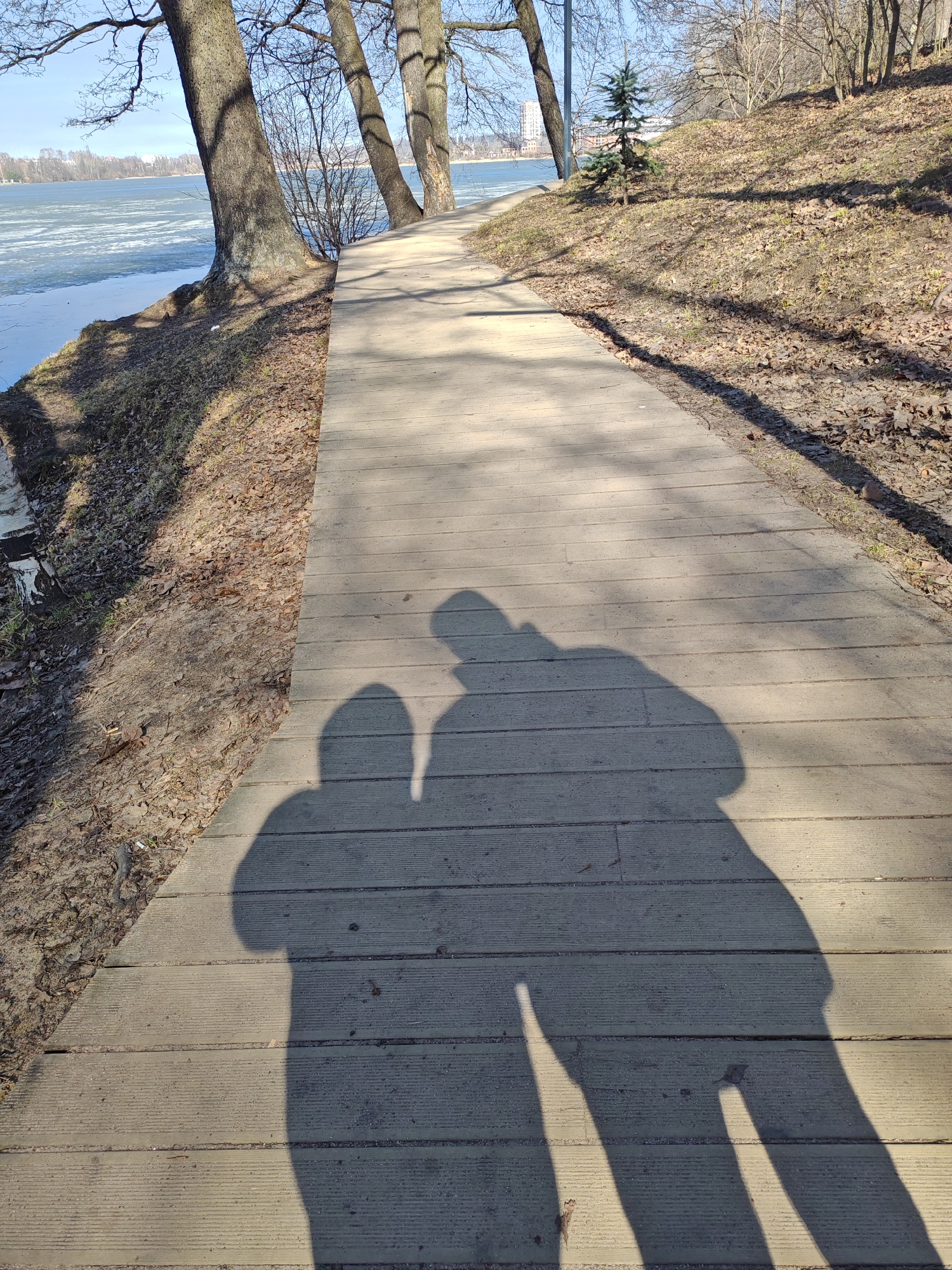 The image depicts a park embankment along a major waterway, likely one of the Neva River branches, in Saint Petersburg, Russia, during late winter or early spring. The scene is illuminated by low-angle sunlight, casting long shadows.
In the immediate foreground, two human shadows are prominently cast onto a light-colored wooden boardwalk that occupies the lower half of the frame. The shadow on the left is smaller and rounder, while the one on the right is taller and broader, suggesting two individuals are walking away from the camera's perspective. The boardwalk consists of parallel wooden planks, lightly covered with fine particulate matter.
To the left of the boardwalk, a dirt bank slopes down to a wide body of water, which is partially frozen with extensive ice floes. Several large, bare deciduous trees with thick trunks are positioned along the water's edge on this bank, casting long shadows onto the ground and water. Beyond the water, in the far distance, indistinct urban buildings are visible.
To the right of the boardwalk, an upward-sloping dirt embankment is covered with a scattering of dried brown leaves and sparse patches of dry grass. A small, young conifer tree stands on this slope in the midground, with additional bare deciduous trees forming a denser line further up the embankment. The overall environment suggests a recreational area, possibly a nature park or reserve within the city.