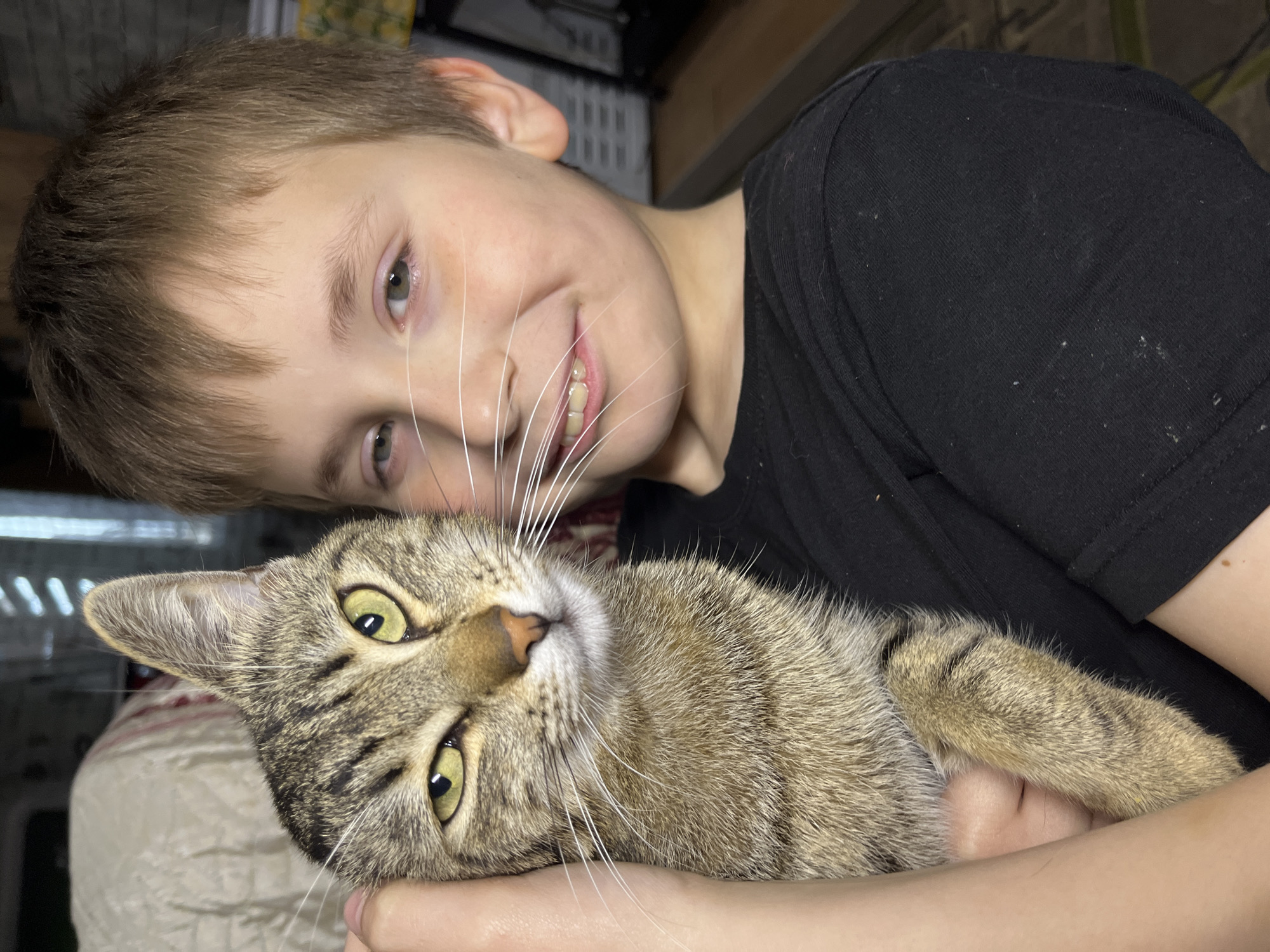 A young boy is holding a tabby cat. The boy has light brown hair and is wearing a black t-shirt. The cat has green eyes. The background is blurred and indistinct. There is no evidence to indicate that the image was taken in Vesyoloye, Russia.