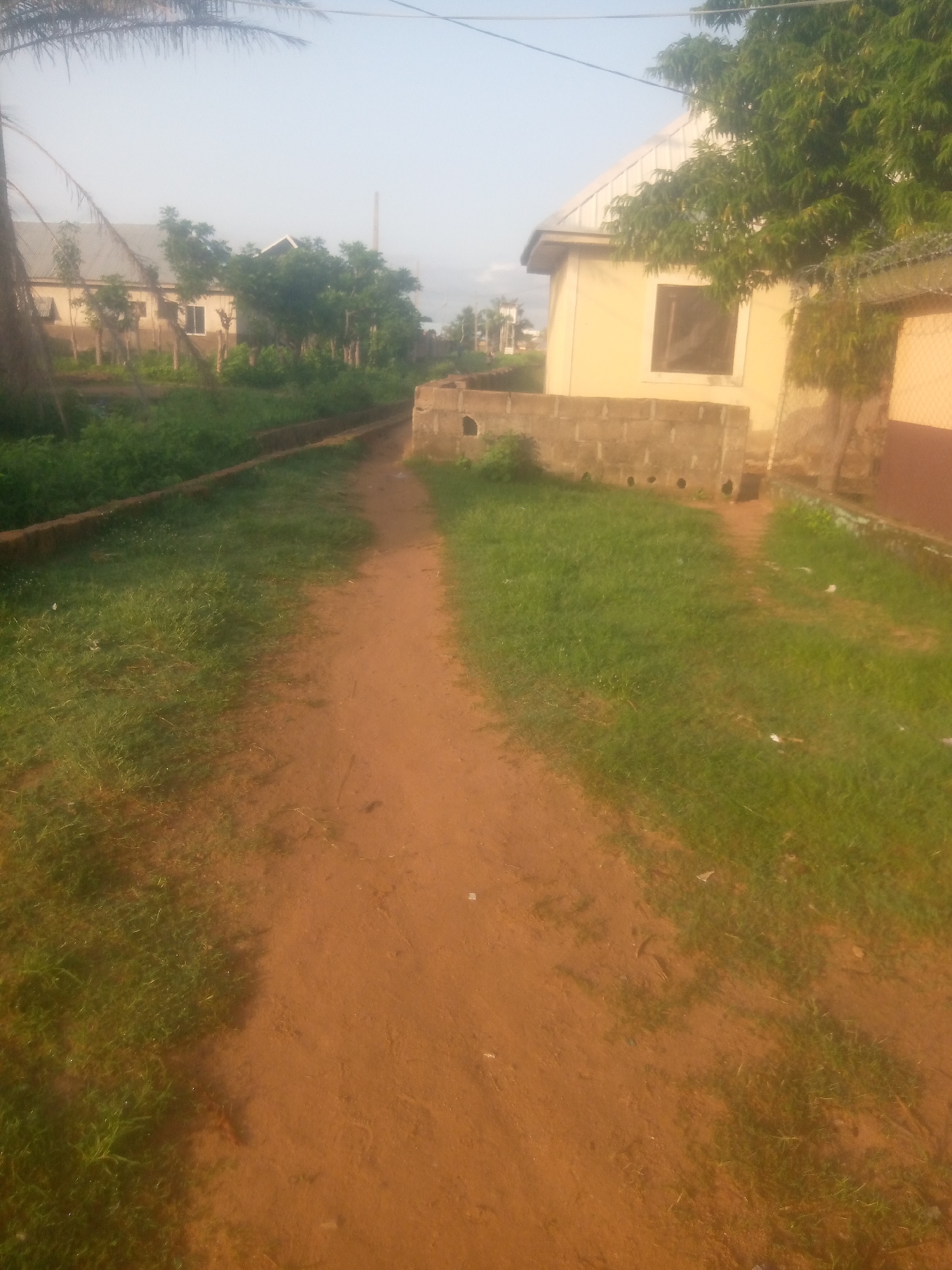 The image depicts a dirt path winding through a grassy area, flanked by vegetation and buildings. In the background, a yellow building with a corrugated metal roof is visible, partially obscured by trees. To the left, another building with a similar roof is also present, set back from the path. A low concrete wall runs along part of the right side of the path, adjacent to a grassy area and what appears to be a drainage channel. The overall scene suggests a rural or semi-urban environment in Jauro Yinu, Nigeria, characterized by simple structures, abundant greenery, and unpaved pathways. The lighting suggests it is daytime, possibly late afternoon given the warm tones. There are no people or animals visible in the image.