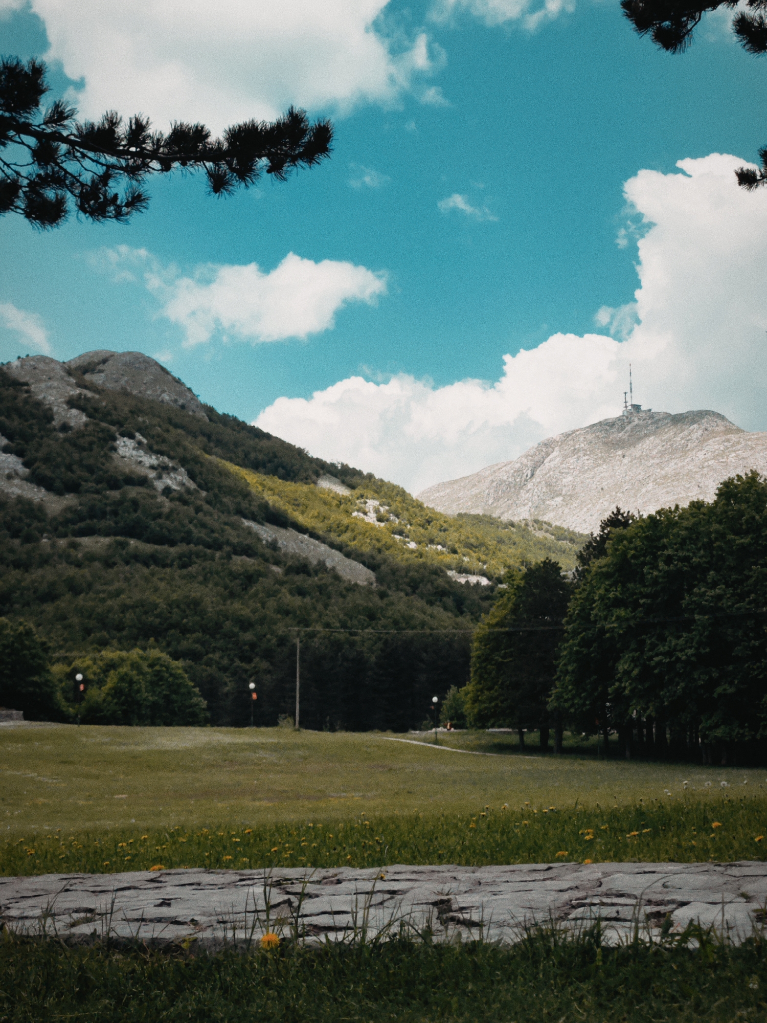 The scene depicts a mountain landscape in Dolovi, Montenegro. A field of green grass with scattered yellow flowers extends from the foreground to a line of trees. A stone pathway borders the foreground. Beyond the trees, a mountain range rises, with one peak capped by a communications tower. The sky is blue with white clouds. The foliage is partially obscured by tree branches at the top of the image. Several lamp posts are visible on the edge of the lawn.