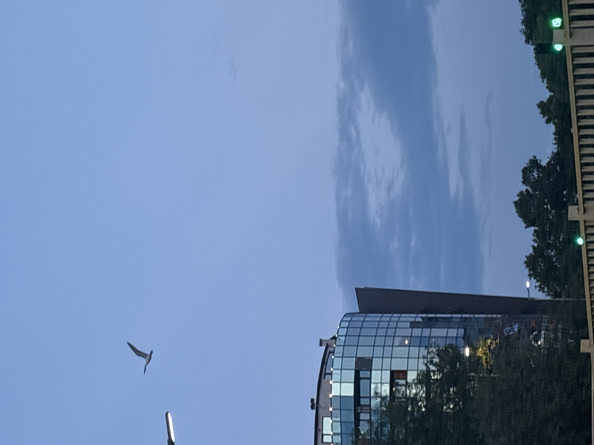 This urban scene, captured at dusk or early evening, depicts an unidentified location in the city of Unknown, Unknown. The upper two-thirds of the image display a sky that transitions from a light, clear blue in the upper left to a darker, cloud-covered blue-grey in the lower right, with scattered stratocumulus clouds. A single bird, consistent in form with a seagull, is in flight in the upper left quadrant, oriented towards the upper right, with its wings outstretched.
A prominent feature in the mid-ground and left is a modern, multi-story building characterized by a curved, reflective glass facade. The glass surfaces show reflections of the sky, surrounding structures, and artificial lights. The uppermost visible level of the building features a flat roofline with multiple small, illuminated lights along its perimeter. Dark green tree foliage partially obscures the lower sections of the building and is also visible along the bottom right edge of the frame.
In the upper left, a partially cropped, elongated, illuminated streetlight fixture extends into the frame. Another streetlight with a bright glow is visible further down, to the right of the building, illuminating some of the foliage. The foreground is occupied by a light-colored, possibly wooden or concrete, railing or fence with vertical slats, extending horizontally across the bottom. Behind this railing, in the lower right corner, are two illuminated green circular signals mounted on posts. One signal displays a solid green circle, while the adjacent signal shows a green circle containing the numeral "5," indicative of a countdown. No individuals are present in the scene.
