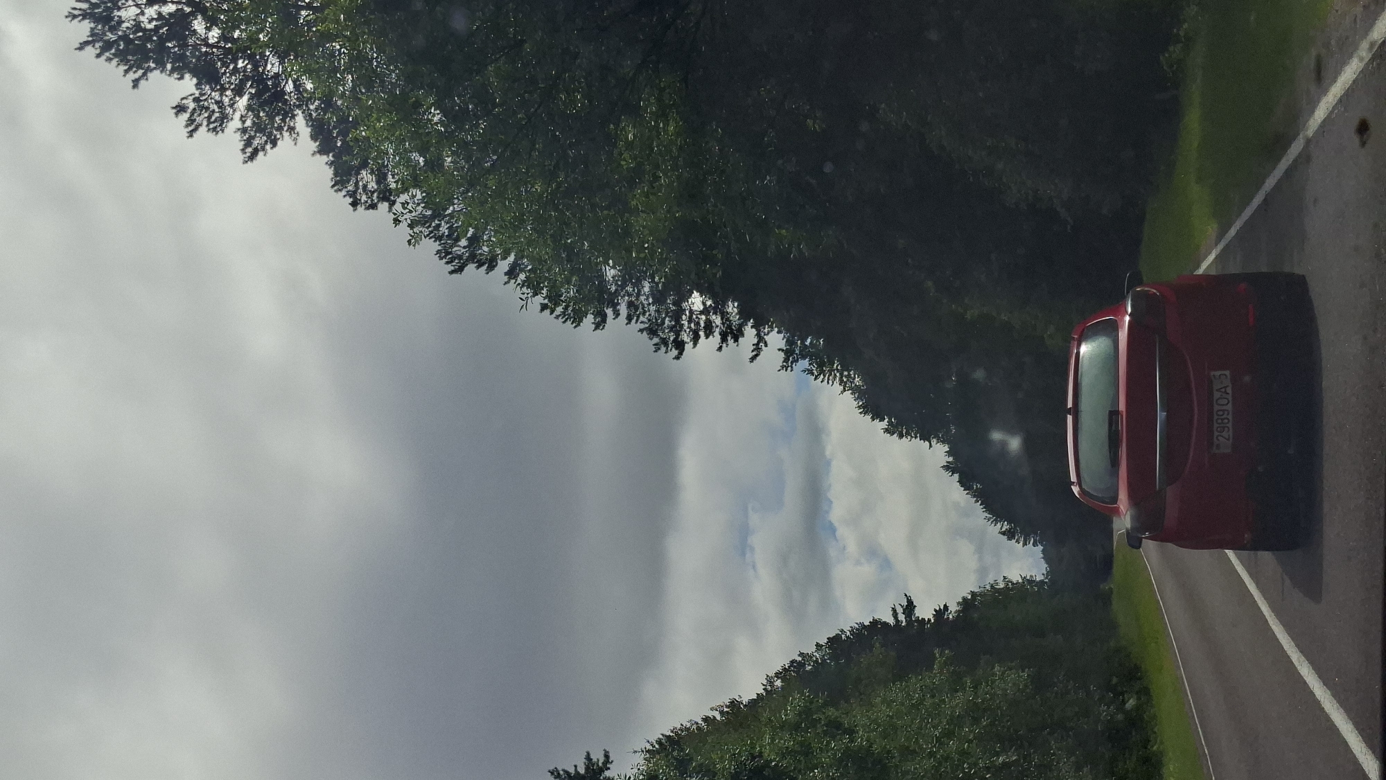 A red car with license plate 2989 OA-5 is driving on a paved road flanked by dense green trees under a cloudy sky. The perspective is from behind the car, looking forward along the road. The road has white lines marking the lanes. The trees on either side create a tunnel-like effect. The weather appears overcast. The scene is likely in a rural area given the natural landscape.