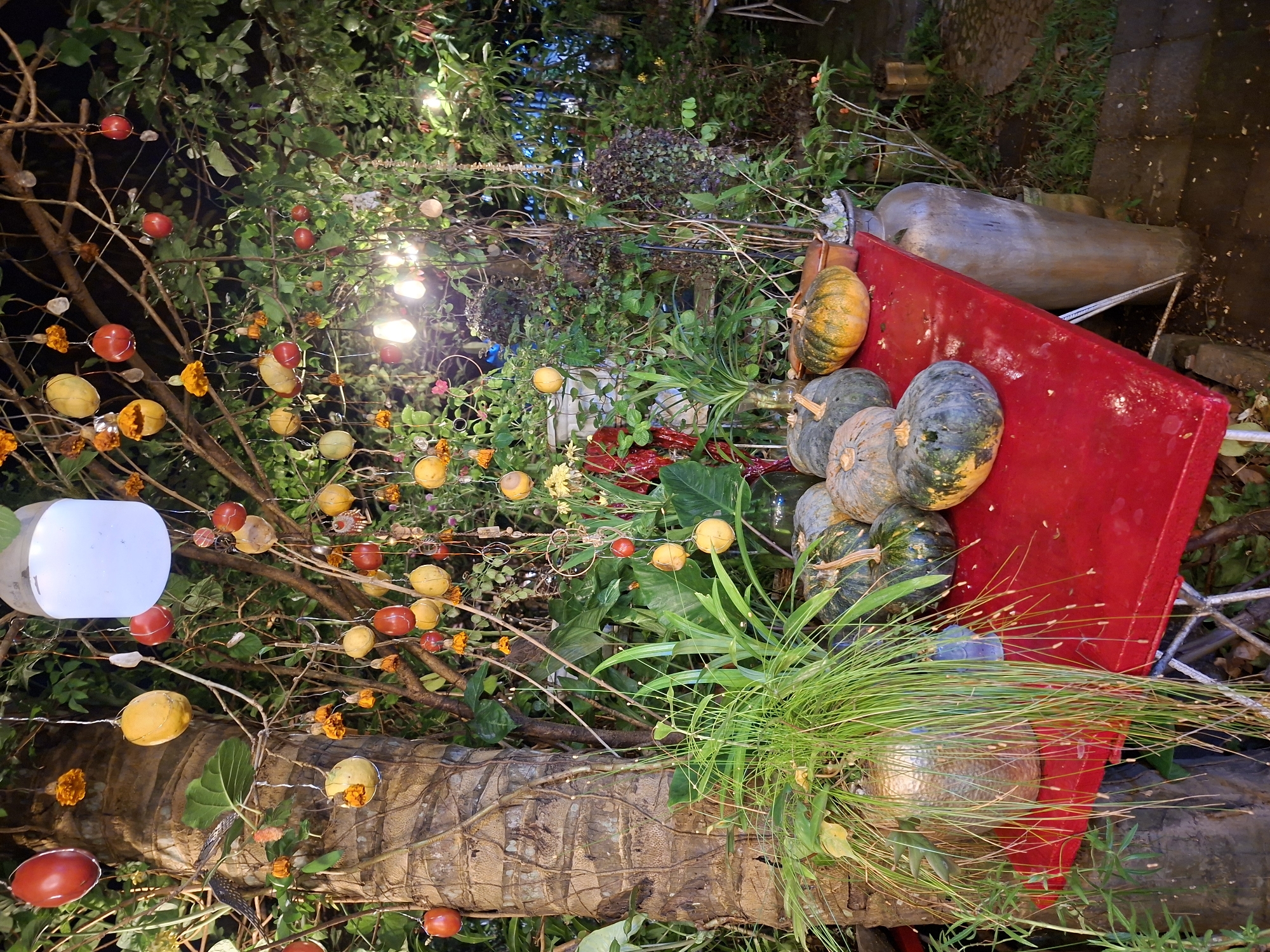 The image presents a vibrant, decorated outdoor scene at night, likely within a garden or lush natural environment, consistent with the tropical flora found in Ubud District, Indonesia.
The foreground features a thick, textured tree trunk, possibly a palm, wrapped with material. Above and around it, dense green foliage and numerous branches are adorned with decorative elements. Small, round objects, some appearing as red fruits and others as yellow/orange fruits or spheres, are strung on wires or placed amongst the branches. Bright orange marigold flowers are also interspersed, adding to the festive atmosphere.
Artificial lights, including bright white bulbs and string lights, illuminate the display, indicating it is evening or night. To the right, a pile of dark green and yellow/orange squash or small pumpkins rests on a large, glossy red surface. Behind these, a light-colored, elongated, and somewhat abstract sculpture or urn lies horizontally on the ground. In the lower right, a metallic, spherical pot contains a cluster of long, thin, green grass-like plants.
The overall arrangement suggests a celebratory or decorative event, possibly a harvest festival or a garden art installation, given the festive decorations and natural elements. No people are visible, and there is no discernible text. The scene evokes a sense of festivity and natural beauty under artificial light.