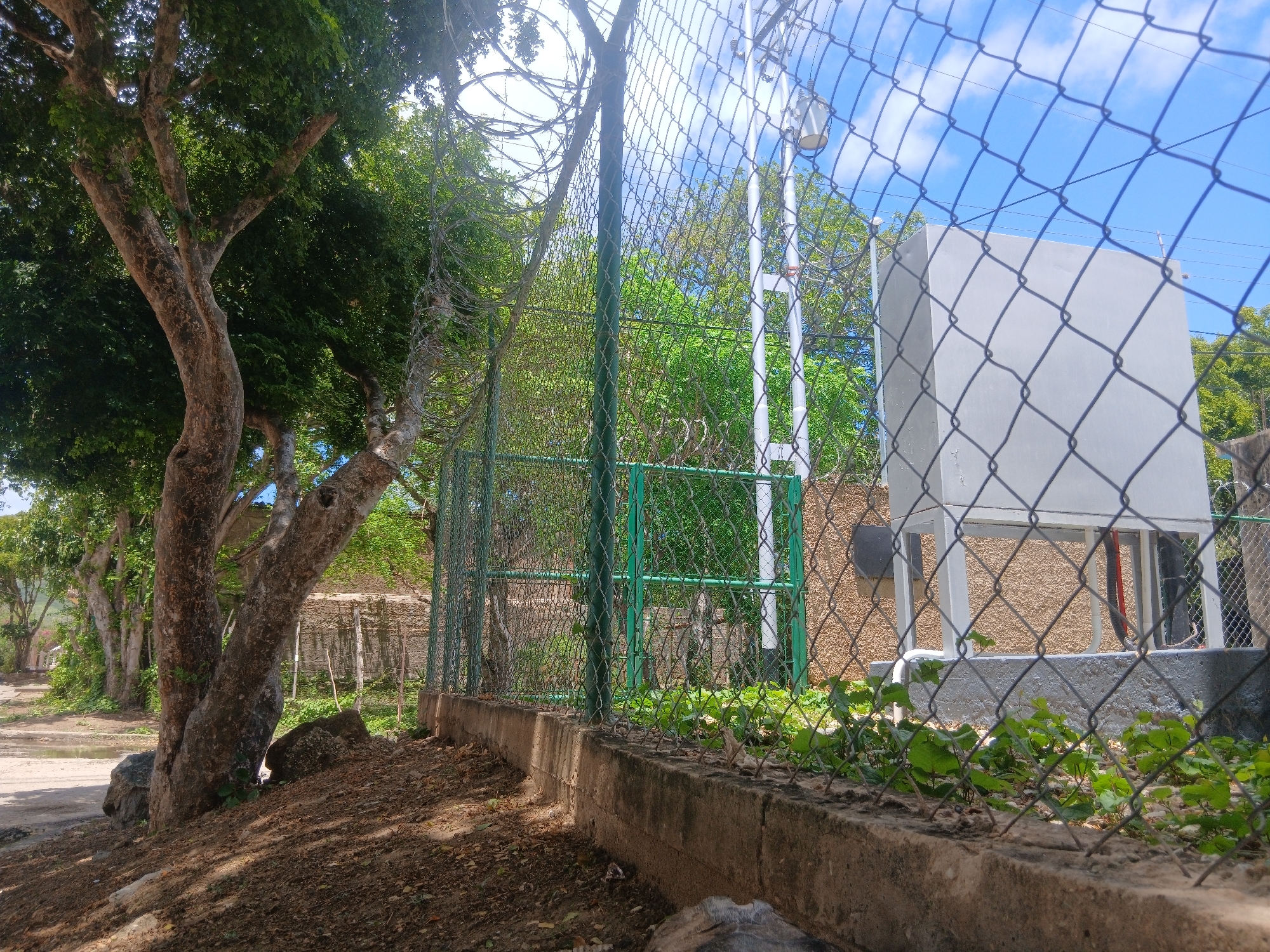 This image depicts an outdoor scene in Santa Ana, Venezuela, likely during the daytime with clear skies. The foreground is dominated by a concrete wall topped with a chain-link fence. Beyond the fence, a large, light-colored electrical enclosure or cabinet is visible. This enclosure is mounted on a concrete base and has some visible conduits or pipes. The background features lush green trees and vegetation, suggesting a tropical or subtropical environment. To the left of the frame, a large tree with a textured, greyish-brown trunk and branches stretches upwards, its canopy dense with leaves. Further down the road, a line of similar trees creates a natural avenue. A dirt road or pathway is visible to the left of the main tree, with some puddles indicating recent rain or a damp area. The overall setting appears to be a somewhat rugged or undeveloped area, possibly on the outskirts of a town, given the presence of infrastructure like the electrical enclosure and fencing alongside natural elements. There is no text visible in the image. The mood conveyed is one of natural beauty contrasted with man-made utility structures.