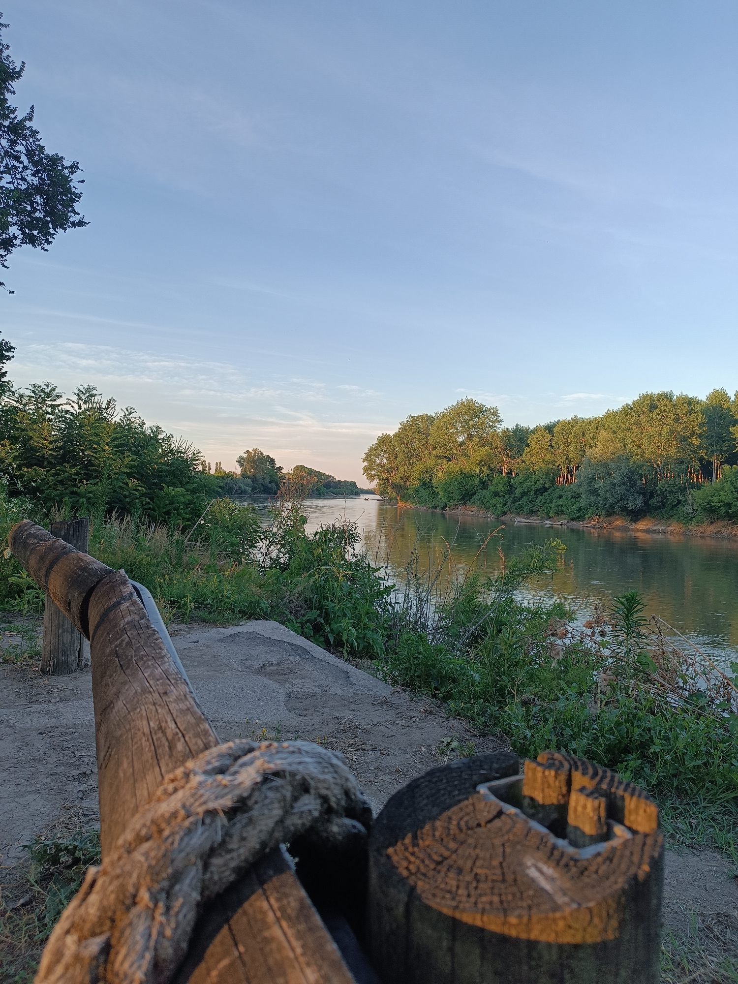 The image captures a serene riverside scene in Marcaria, Italy, likely during the early morning or late afternoon given the soft lighting. In the foreground, a weathered wooden railing, secured by a thick rope, is the primary subject. The railing is composed of two large, roughly hewn logs. The log closer to the viewer is positioned diagonally, with the rope wrapped around its end. The second log, partially obscured by the first, is cut vertically. Beyond the railing, a dusty path leads towards a concrete embankment.
The environment features lush, green vegetation bordering the path and a tranquil river. The river is wide and calm, reflecting the clear, pale blue sky, which has a few wispy white clouds. A line of dense trees forms the opposite bank of the river, their leaves catching the warm light. The overall impression is one of natural beauty and peacefulness. There are no people visible in the frame.