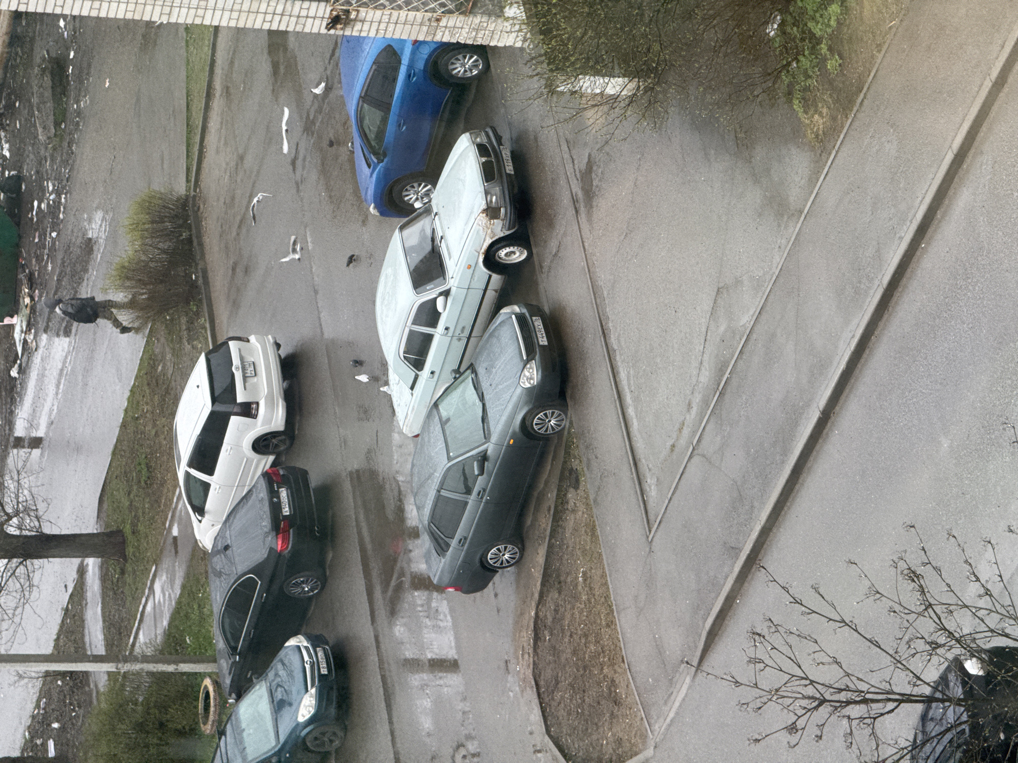 The image shows an aerial view of a street in Ново-Никольское, Russia, likely taken from an upper floor of a building. Six cars of different colors (blue, white, light blue, gray, black, and dark blue) are parked along the side of the road. Several birds are visible in the air. A person is walking along the sidewalk in the upper-left corner. The day appears overcast and possibly rainy. The environment includes pavement, trees, and bushes. A sidewalk runs along the right side of the road, defined by a raised concrete curb.