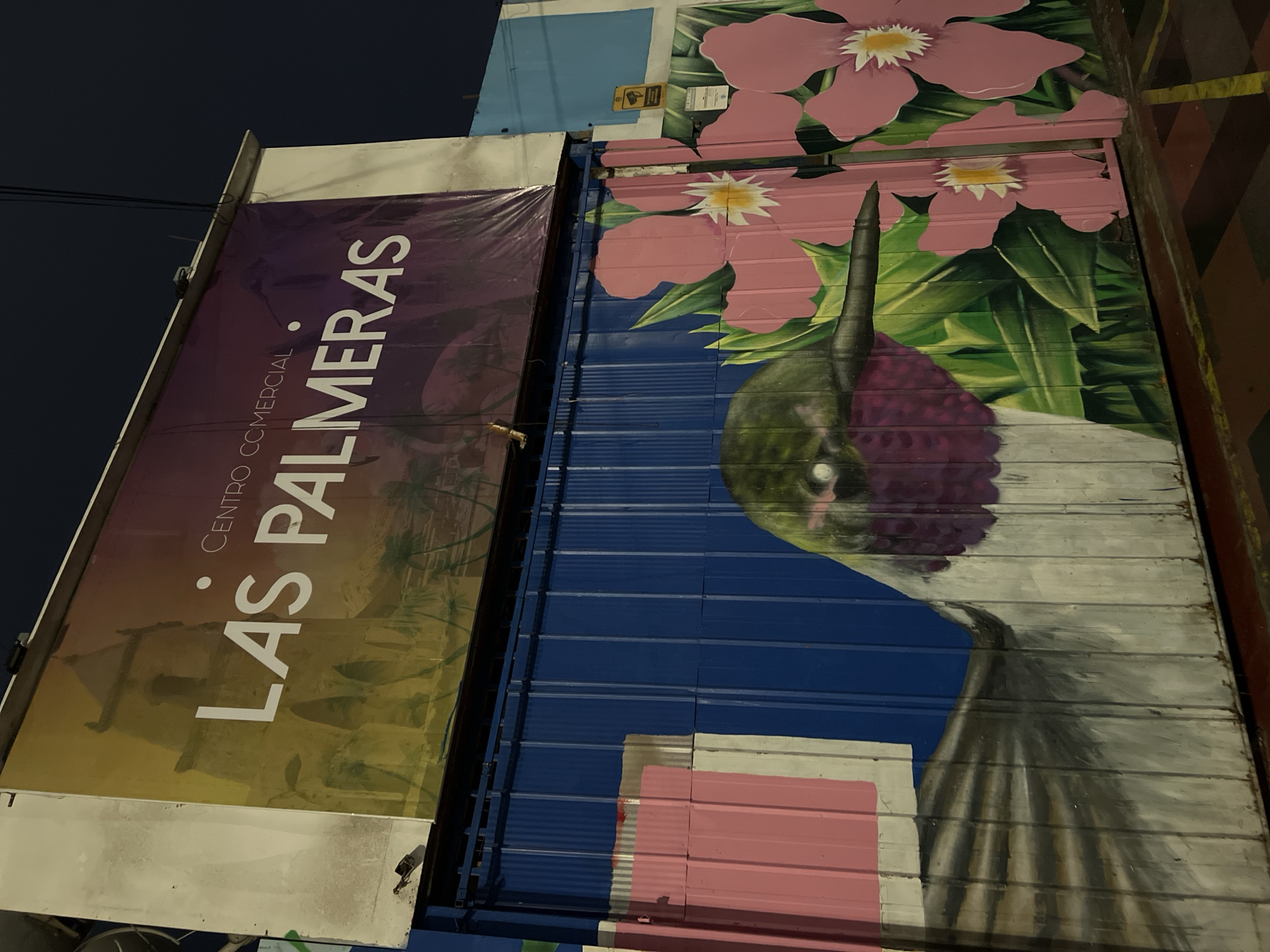 The image presents an urban scene in Arica, Chile. A building facade is adorned with a large banner displaying the words "LAS PALMERAS" and "CENTRO COMERCIAL," suggesting a shopping center. Next to the banner, a mural depicts pink flowers and a hummingbird against a blue backdrop on a corrugated metal wall. The image is taken from a low angle, and the sky is dark, indicating it is either nighttime or a very overcast day.