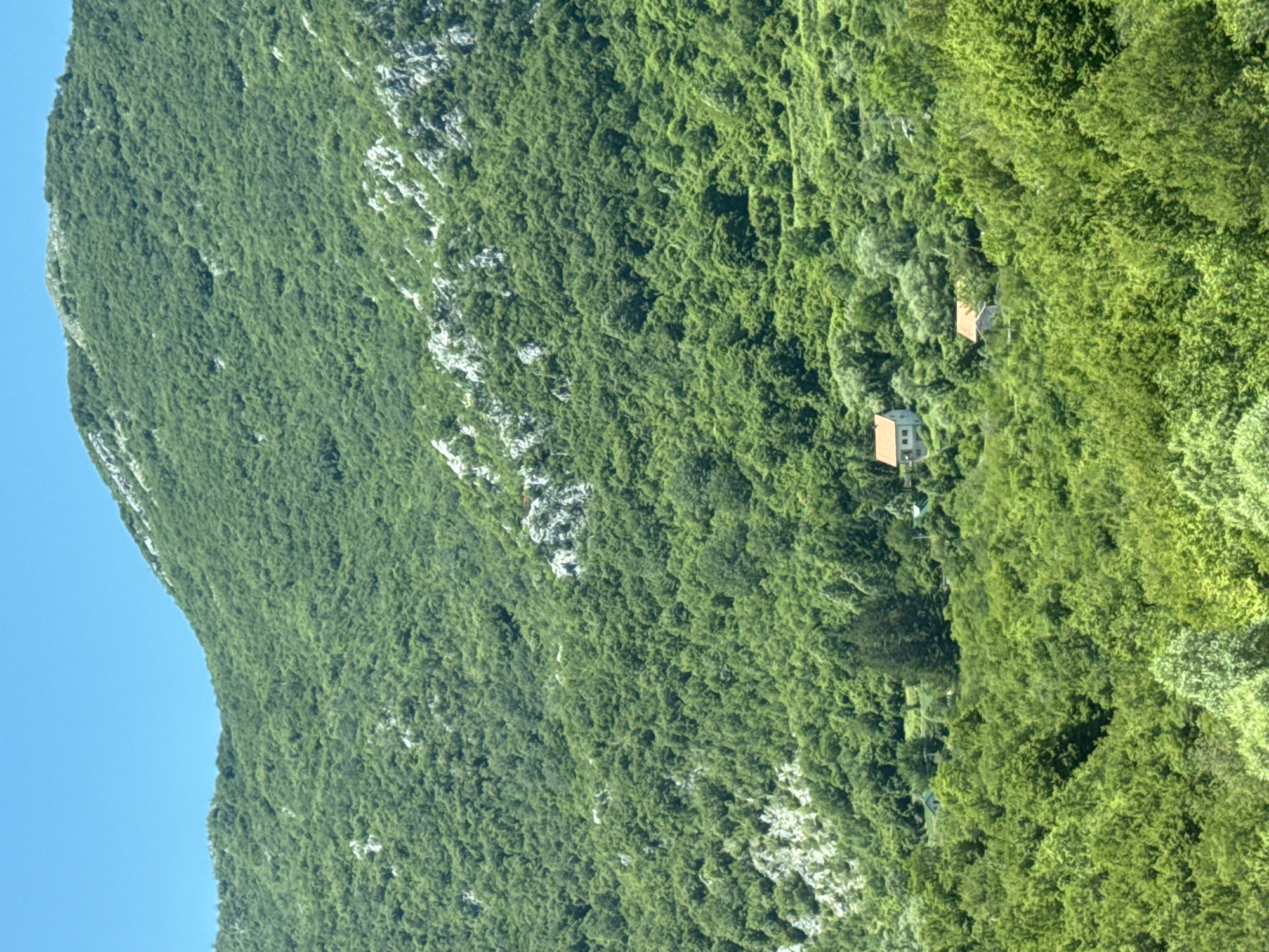The image shows a mountainous landscape in the vicinity of Vrela, Montenegro. The terrain is covered with dense, lush green vegetation, primarily trees, that extends up the slopes of a large mountain. The sky above is a clear, bright blue. In the mid-ground, nestled within the greenery, are two small houses. The house on the left appears to be a light-colored building with a dark roof. The house on the right has a reddish-orange roof. There are no people visible in the image. The environment suggests a rural, possibly mountainous, setting with some scattered dwellings. The overall impression is one of natural beauty and a peaceful, secluded atmosphere.