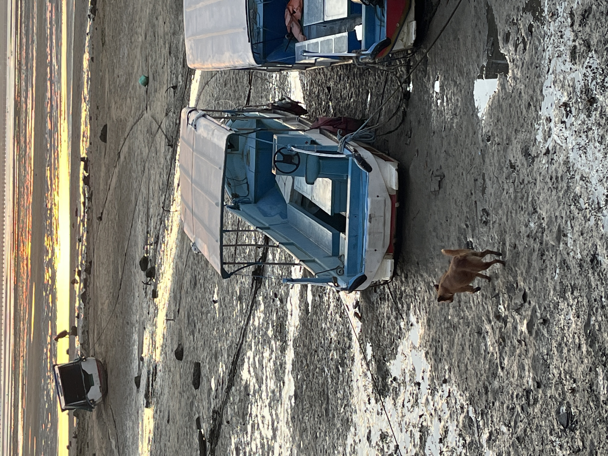 Two boats are docked on a muddy shoreline. A brown dog runs on the mud. In the background, there is a body of water reflecting the sunlight from the horizon. The image appears to be taken on a beach in Kuta Selatan, Indonesia.