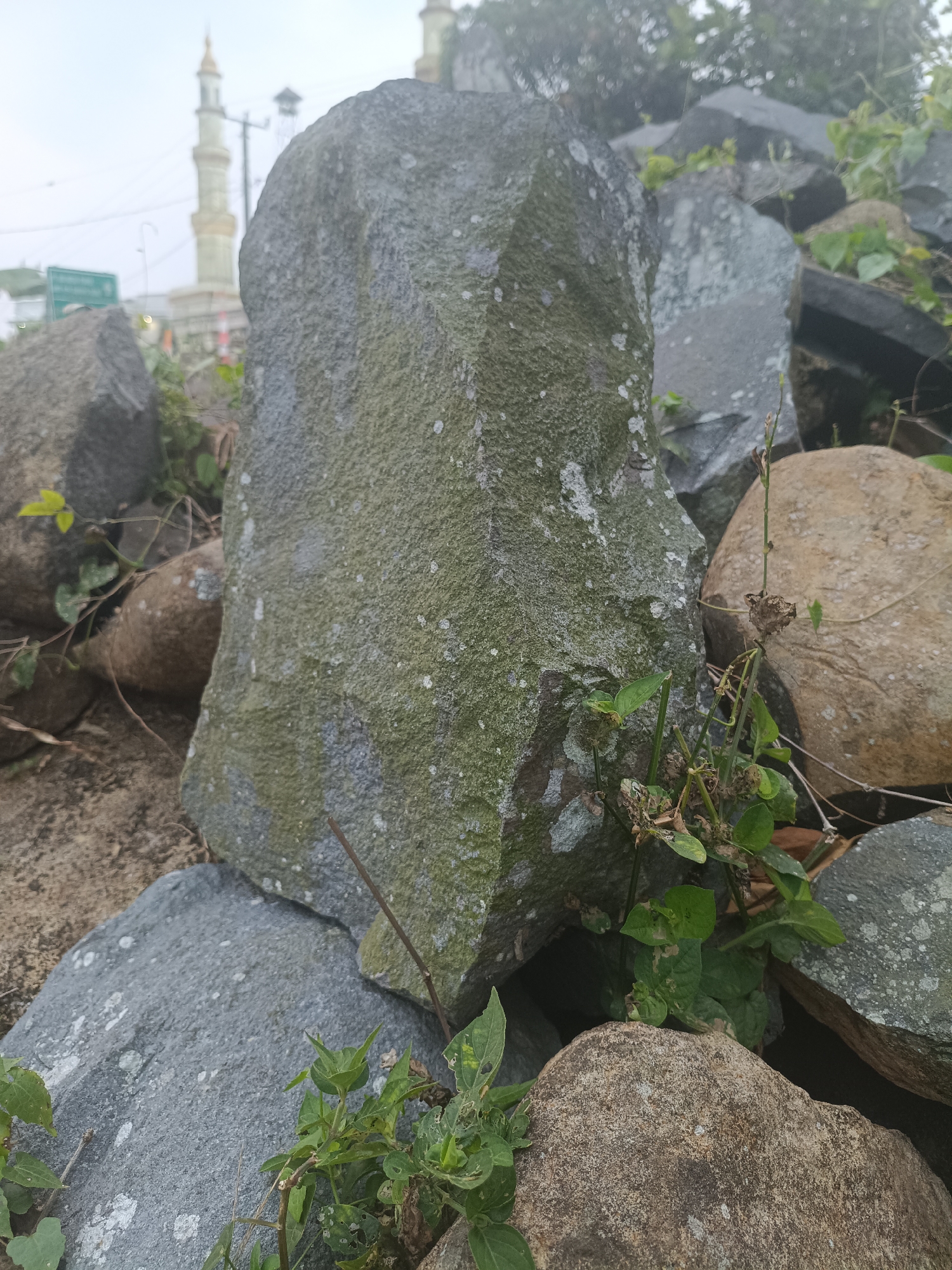 In Kadununggal, Indonesia, a cluster of large, rough stones is arranged in a naturalistic display. The foreground is dominated by a significant greyish-green rock, covered in patches of lichen and moss, suggesting exposure to the elements. Surrounding this central stone are other rocks of varying sizes and colors, some smooth and rounded, others angular and rough. Small green plants, some with visible leaves and tendrils, are growing amongst the stones, adding a touch of organic life to the scene. In the background, a tall, slender minaret-like structure, likely part of a mosque, rises into a hazy sky, hinting at the urban or semi-urban context of the location. The overall environment appears to be outdoors, with a muted, overcast sky contributing to the subdued lighting.
