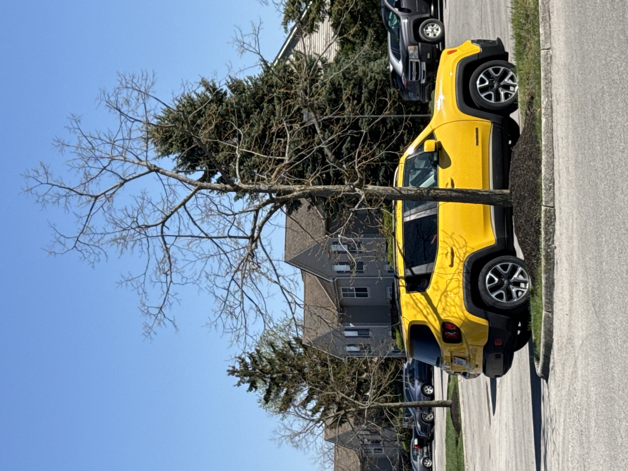 The image depicts a residential street scene in Columbus, United States. A bright yellow Jeep Renegade is parked on the right side of the street. To its left, several other parked vehicles can be seen, including a dark-colored SUV. A leafless tree is positioned in front of the Jeep, its branches extending across the frame. A multi-story apartment building can be seen in the background. The sky is clear and blue.