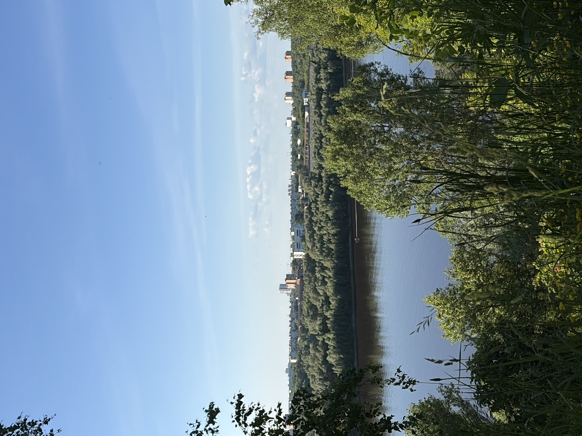 A forensic examination of the image reveals an elevated daytime perspective overlooking a riverine landscape and a distant cityscape. The location is identified as Новинки, Russia, based on the prompt.
The sky occupies the upper portion, displaying a clear light blue hue with minimal, wispy white cloud formations. Several small, dark avian forms are discernible in flight.
The immediate foreground is dominated by dense, vibrant green foliage, including tall grasses, various plants, and scattered yellow wildflowers, partially obscuring the lower view. Dark green tree branches extend into the frame from the top left.
A wide river, with dark blue-brown water reflecting the sky, traverses the midground horizontally. A small red boat containing two human occupants is observed moving left to right on the water.
The far bank of the river is extensively covered by a dense, green deciduous forest. Beyond this forest, a low-lying urban skyline is visible, featuring a mix of multi-story buildings, some light-colored and others reddish-brown, indicative of a city or town.
The overall environment suggests a bright, sunny day, likely in late spring or summer, characterized by lush vegetation and a blend of natural and urban elements.