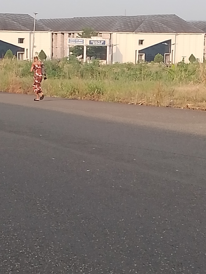 A woman in a patterned dress walks along a paved road in Ogboko, Nigeria. Behind her is a building complex that includes a sign reading "Faculty of Basic Medical Science" and "Faculty of Science." The road is in the foreground and there is some shrubbery and grass on the side of the road between the pavement and the building. The day appears to be clear with good lighting.