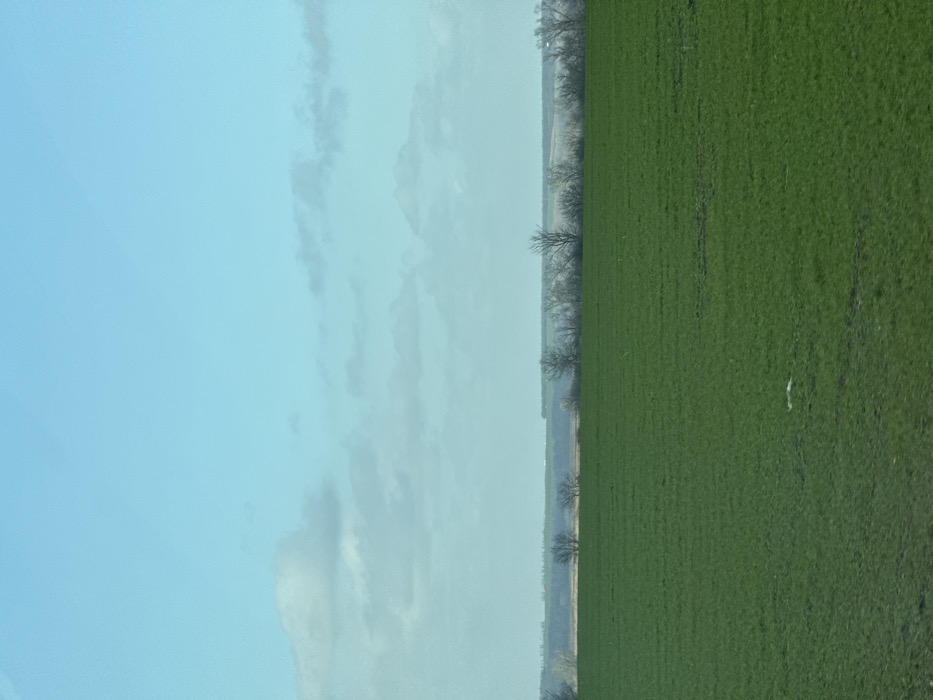 The image depicts a rural landscape near the city of Zarevo, Russia. The foreground consists of an expansive, flat green field, likely agricultural land, covered with short vegetation. A small, indistinct white object rests on the field in the lower-left quadrant. A horizontal line of leafless trees and shrubs forms the midground, suggesting a late autumn, winter, or early spring season. Beyond the trees, a lighter-toned, distant landscape stretches towards the horizon. The sky occupies the upper portion of the frame, displaying a light blue hue with scattered, diffuse white and light grey clouds, which are more prominent closer to the horizon. No people, animals, or explicit actions are visible within the scene.