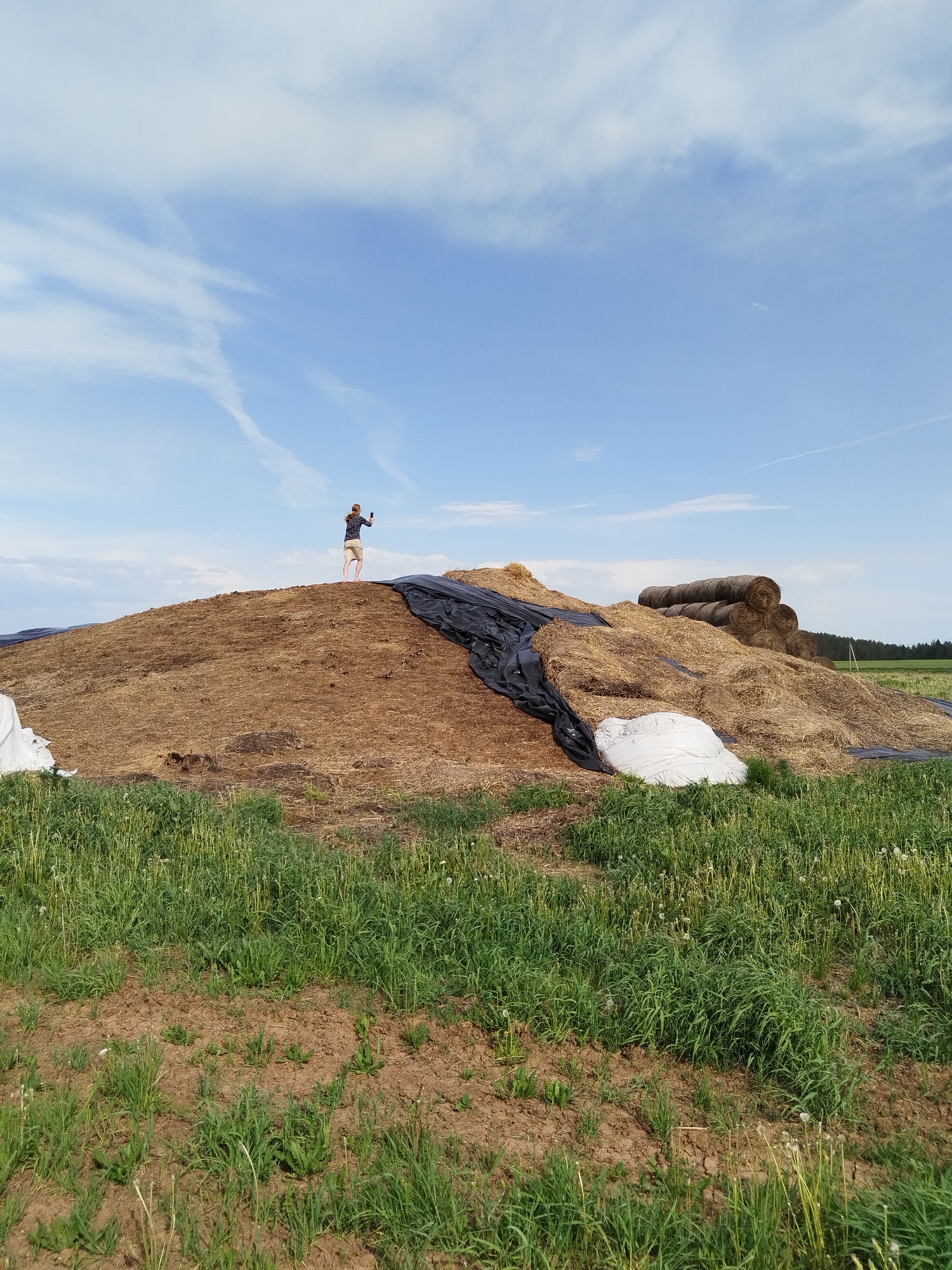 A medium-shot depicts a slightly distant view of a person standing atop a large mound in an agricultural field. The mound is comprised of what appears to be hay or straw, covered partially by black plastic sheeting. Rolls of hay are visible at the rear of the mound. The person on top is seen holding a phone or small device, possibly taking a photograph. The surrounding landscape is green with dense grass, with visible patches of brown soil. The sky is blue with scattered clouds. The city location, Чумна, Russia is not identifiable within the contents of the image.